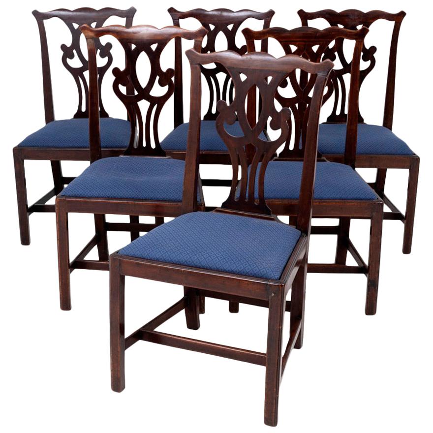 Set of 6 Chippendale Chairs in Walnut, circa 1900