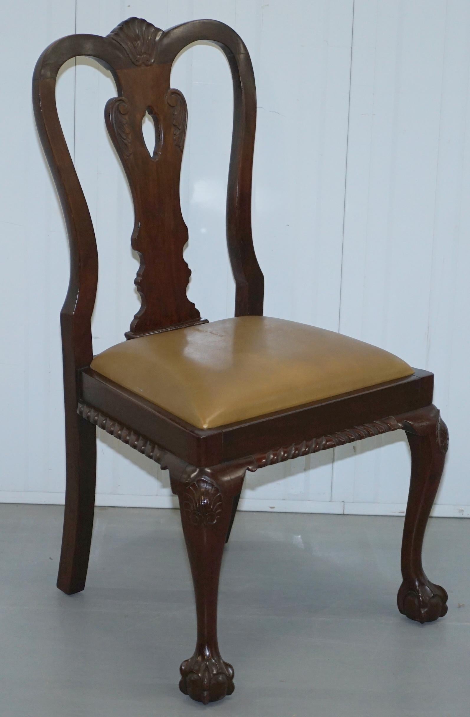 Set of 6 Claw and Ball Mahogany Thomas Chippendale Style Antique Dining Chairs 6