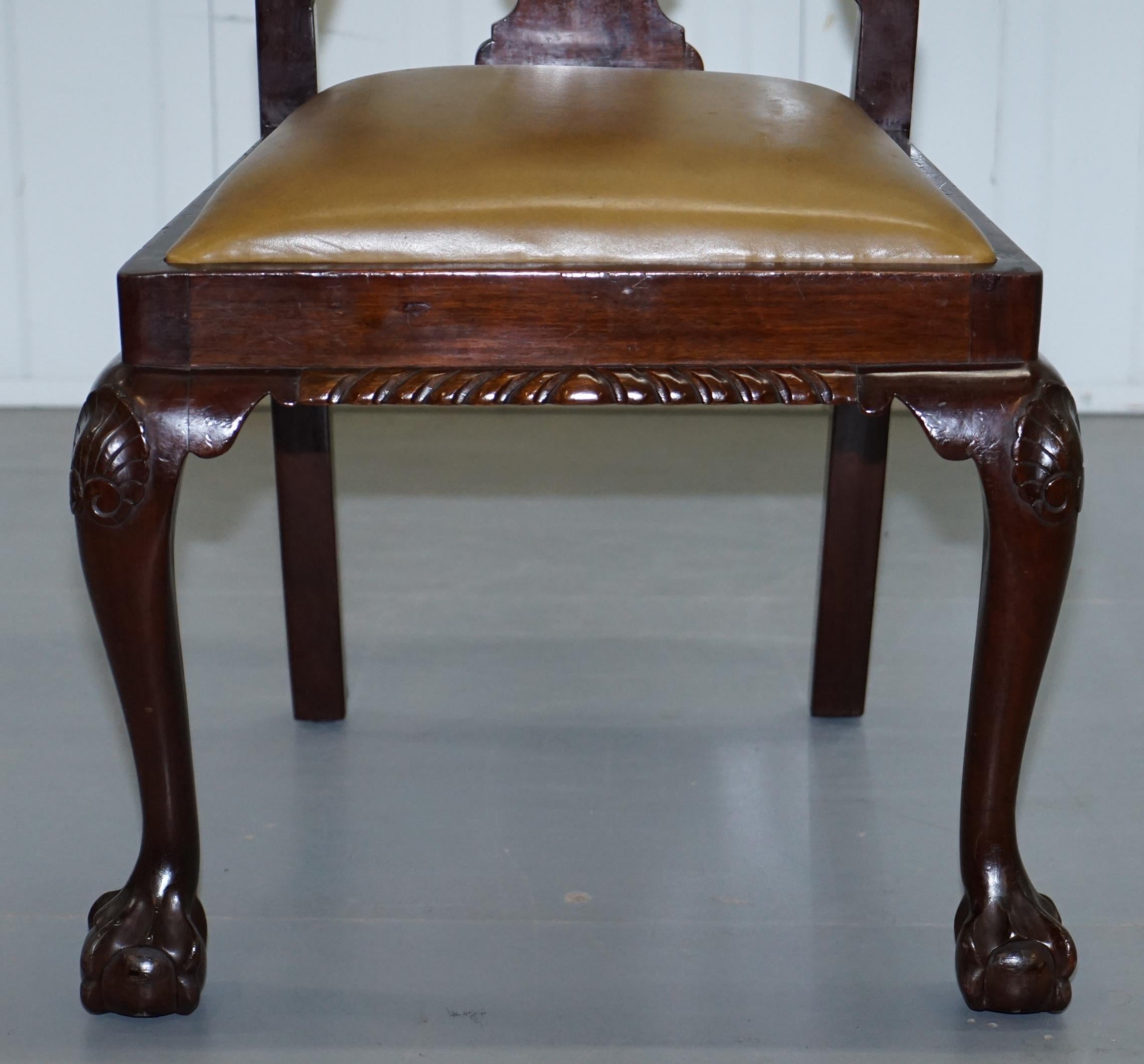 Leather Set of 6 Claw and Ball Mahogany Thomas Chippendale Style Antique Dining Chairs