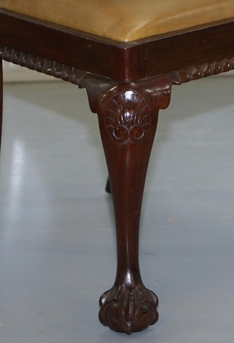 Set of 6 Claw and Ball Mahogany Thomas Chippendale Style Antique Dining