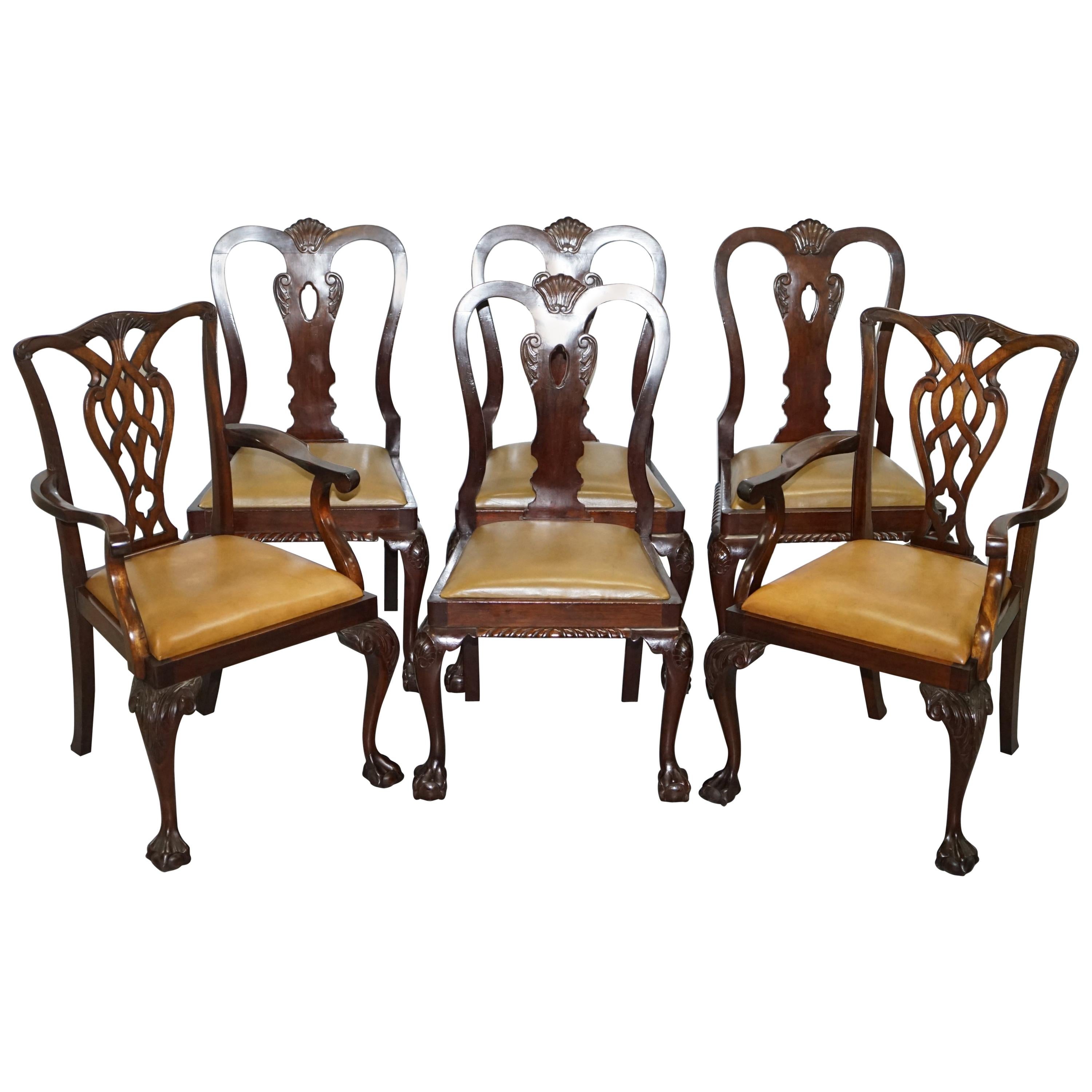 Set of 6 Claw and Ball Mahogany Thomas Chippendale Style Antique Dining Chairs