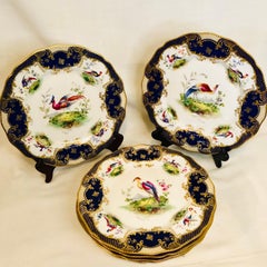 Set of 6 Cobalt Royal Doulton Made for Tiffany Dinner Plates with Exotic Birds