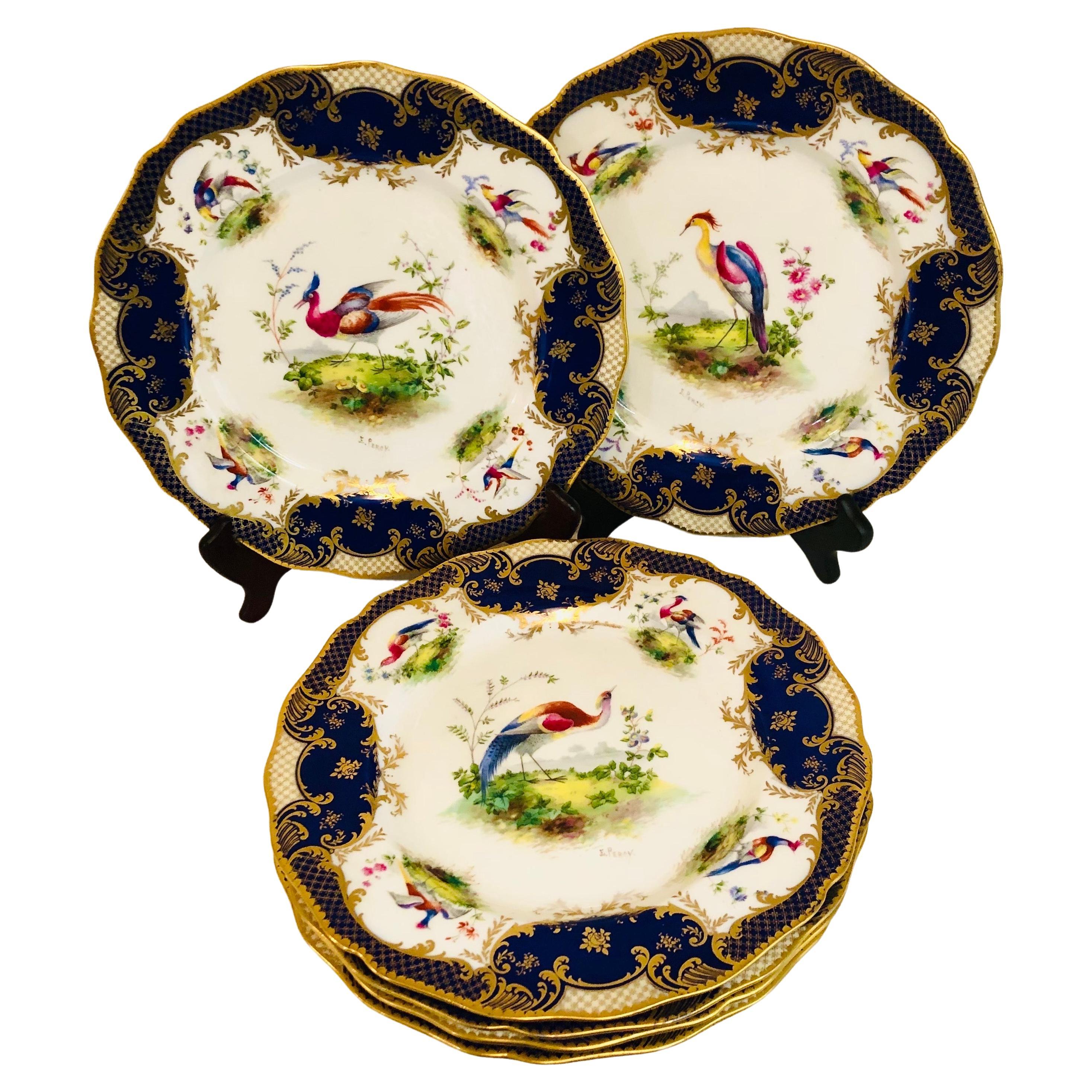 Set of 6 Cobalt Royal Doulton Made for Tiffany Dinner Plates with Exotic Birds