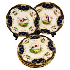 Lot de 6 assiettes plates Royal Doulton cobalt faites pour Tiffany avec oiseaux exotiques