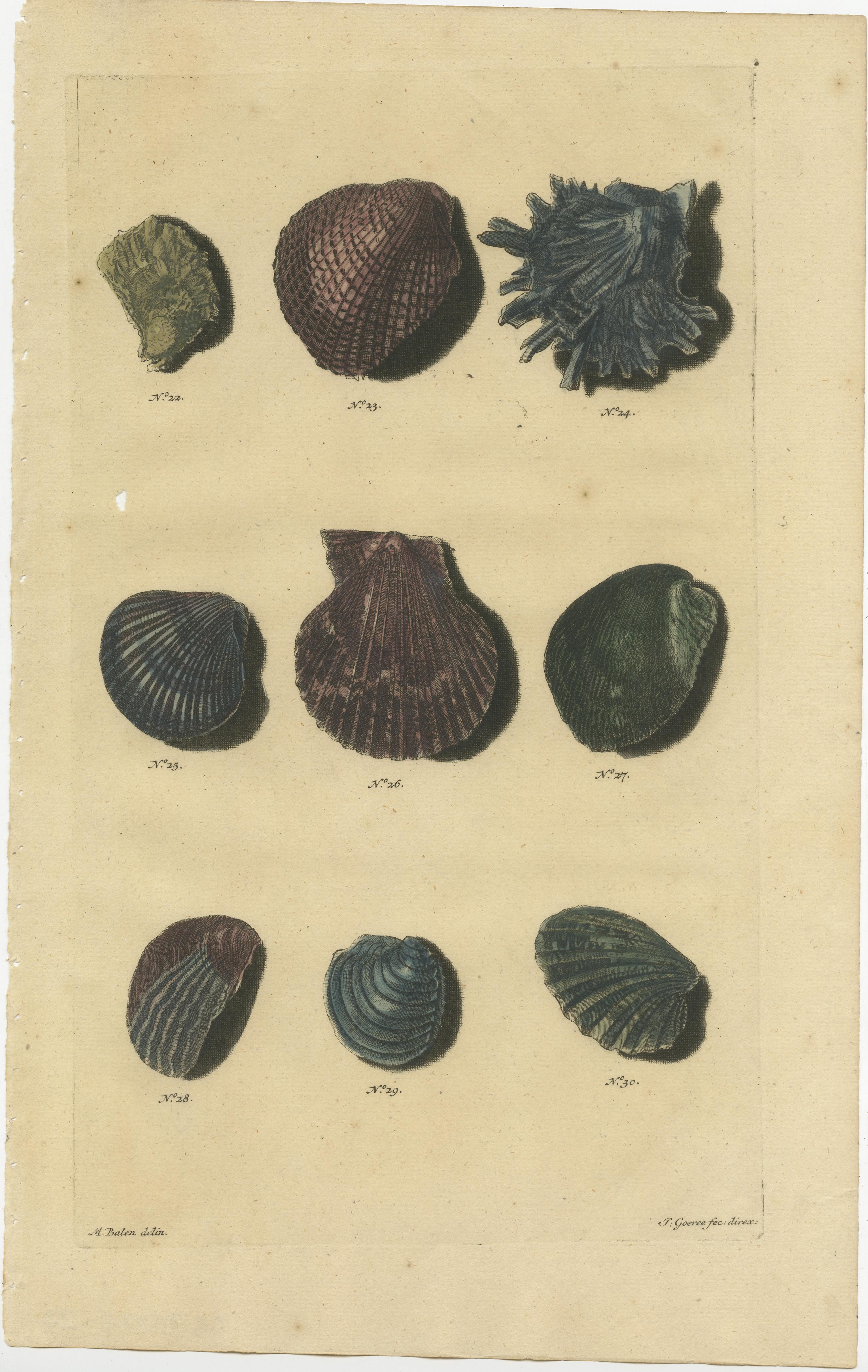 Set of six antique prints of various sea shells and molluscs. These print originate from 'Oud en Nieuw Oost-Indiën' by F. Valentijn.

François Valentyn or Valentijn (17 April 1666 – 6 August 1727) was a Dutch Calvinist minister, naturalist and