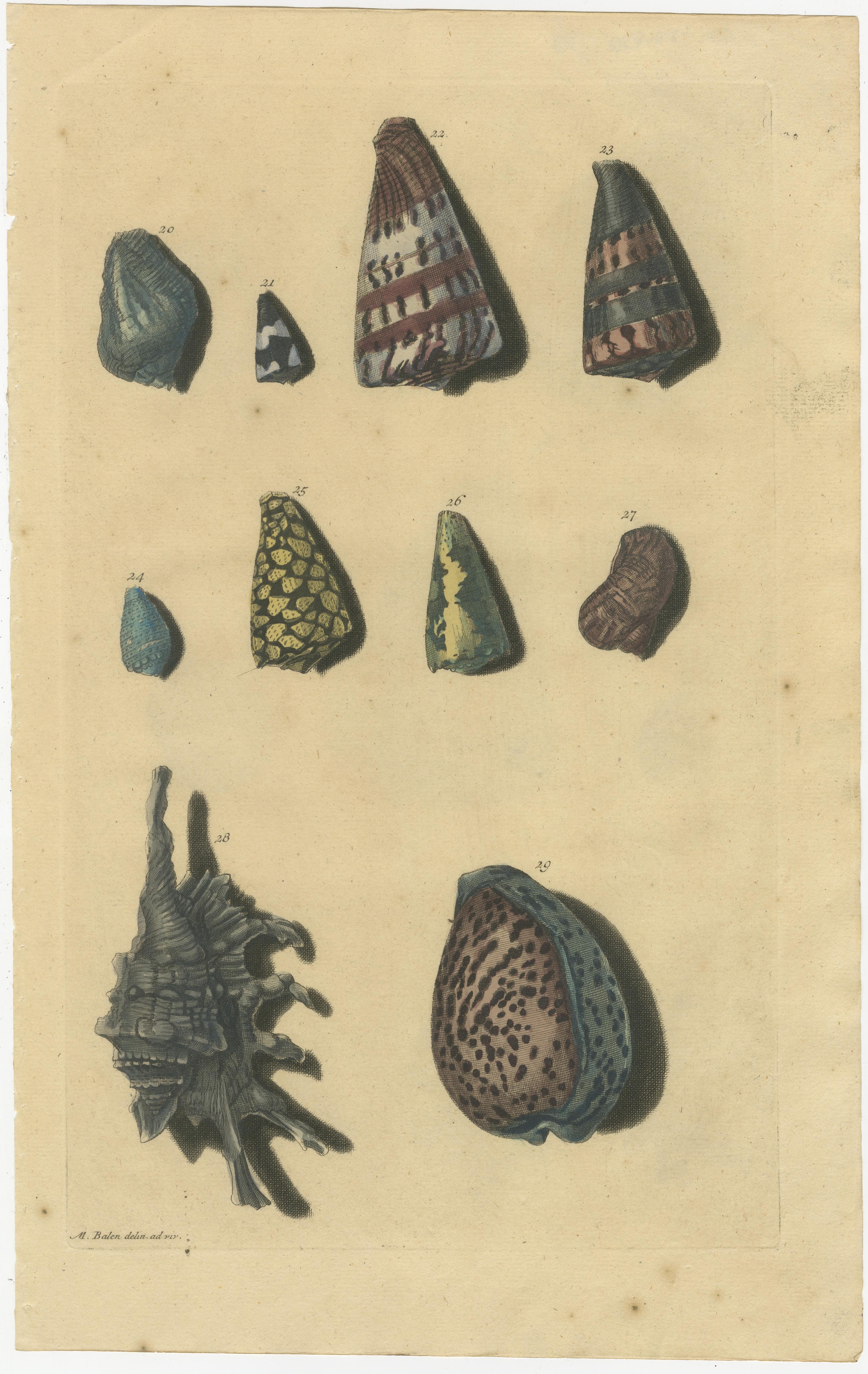 Satz von 6 farbigen antiken Drucken von verschiedenen Muscheln und Weichtieren im Zustand „Gut“ im Angebot in Langweer, NL