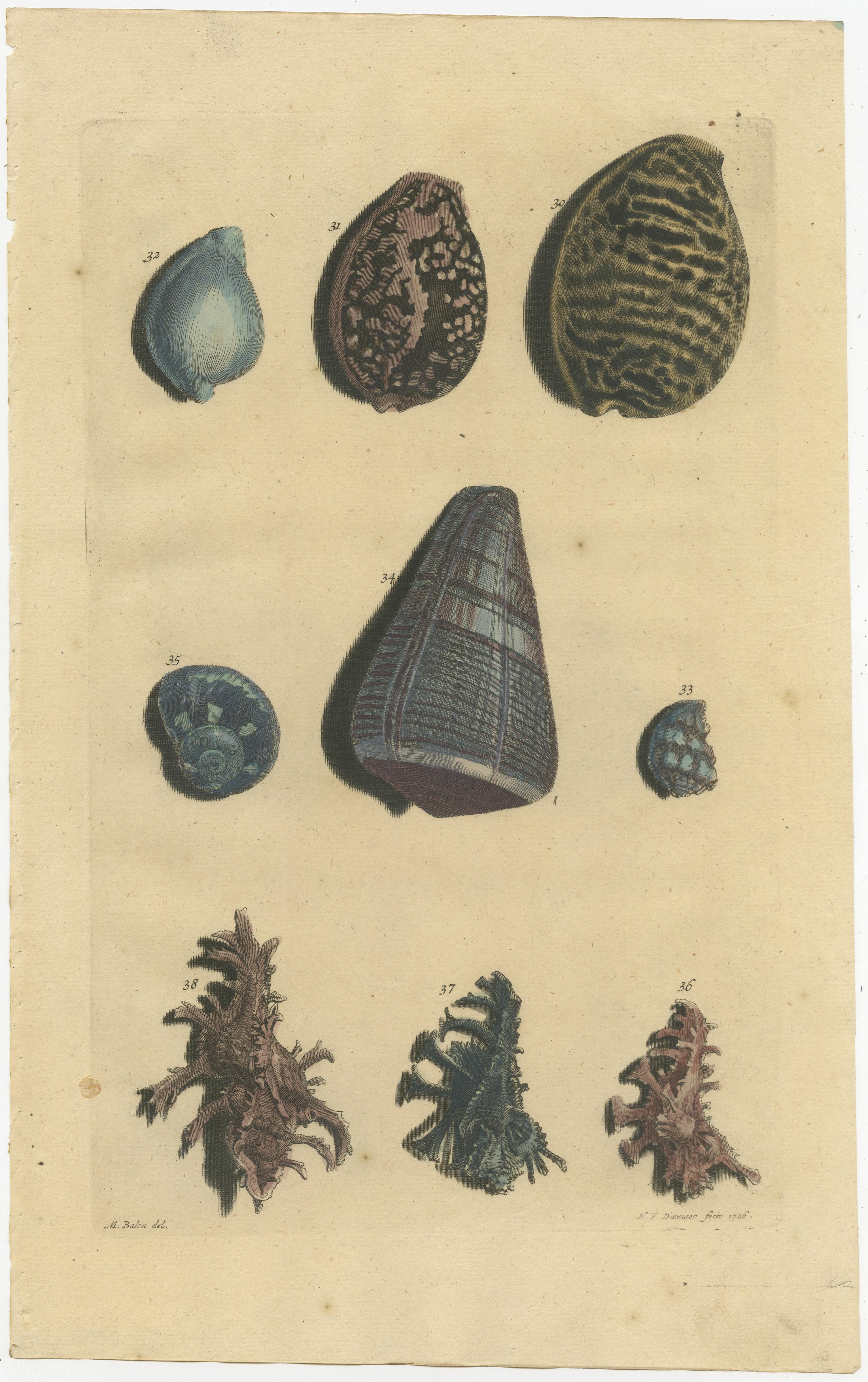 Set of 6 Colored Antique Prints of various Sea Shells and Molluscs For Sale 1