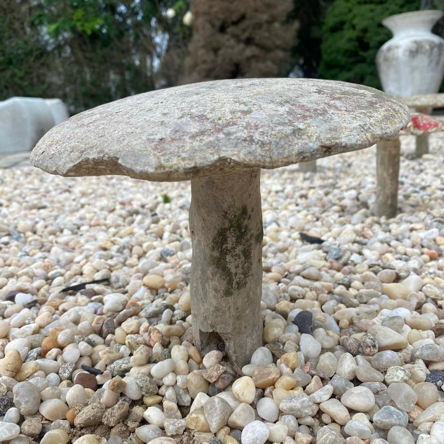 Set of 6 Concrete Mushrooms, 1950s France For Sale 4