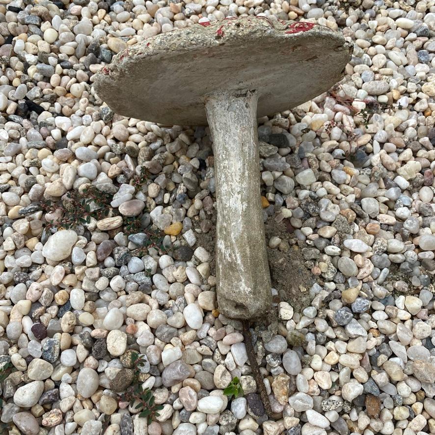 Set of 6 Concrete Mushrooms, 1950s France For Sale 5