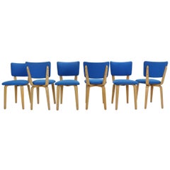 Set Of 6 Cor Alons For Gouda Den Boer Plywood Dining Chairs, Netherlands 1950