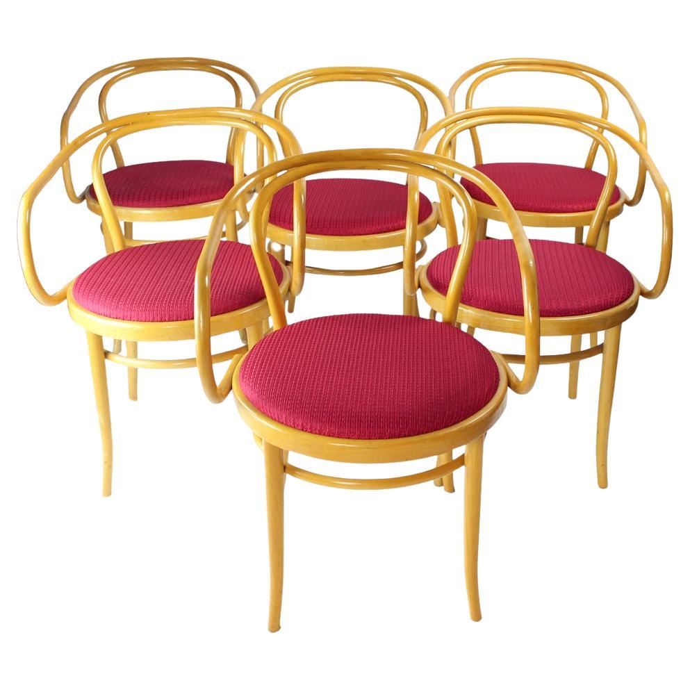 Set Of 6 Dining Bentwood  Armchairs  type 30 By Thonet For Ton, 1960s For Sale