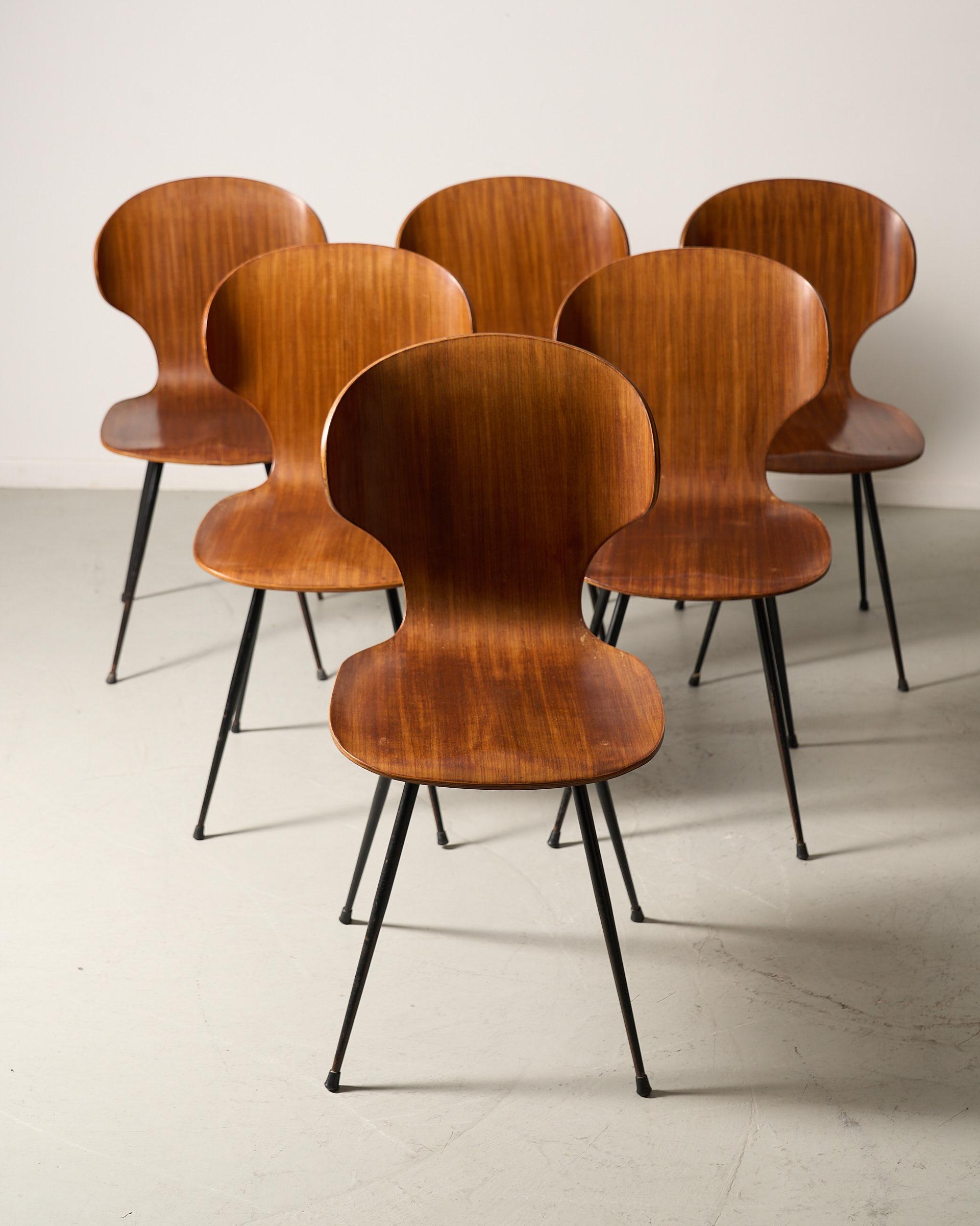 Set of 6 dining chairs by Carlo Ratti en vente 5