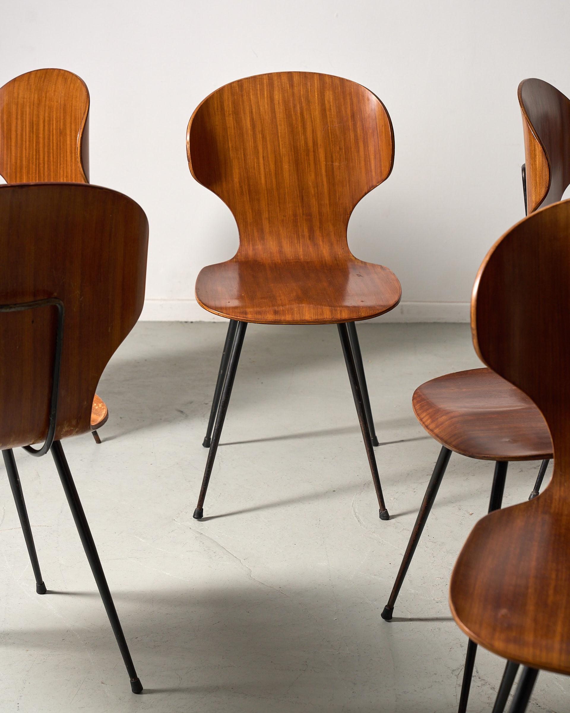 Set of 6 curved wood dining chairs by Carlo Ratti with a wonderful honey patina and black metal thin legs.
