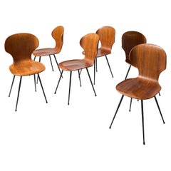 Sedie per la sala da pranzo