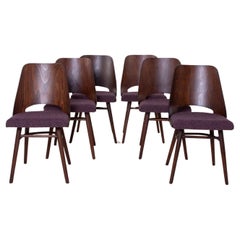 Juego de 6 Sillas de Comedor de R. Hofman para TON, Modelo 514, Años 60, Retapizadas