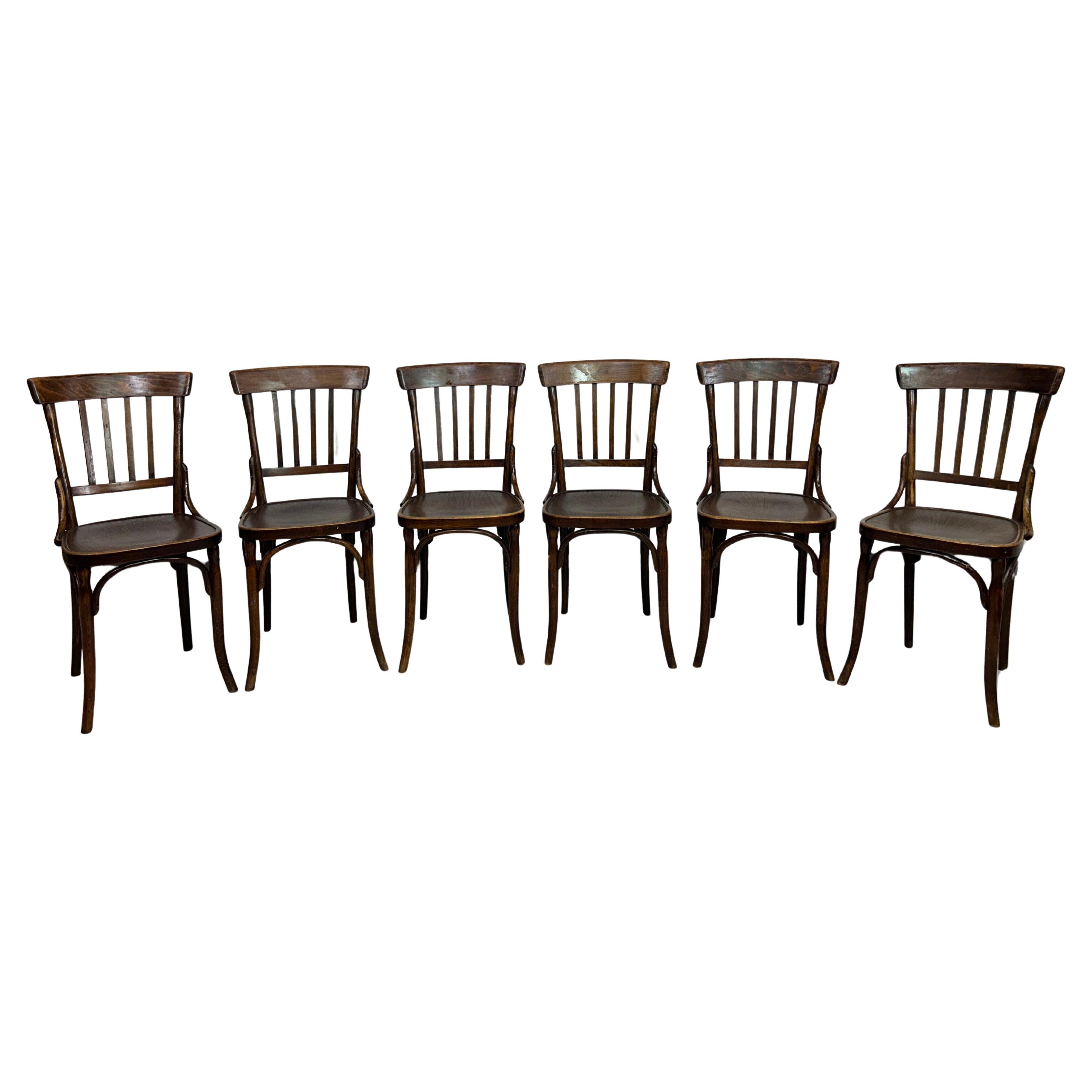Set of 6 dining chairs by Thonet Mundus