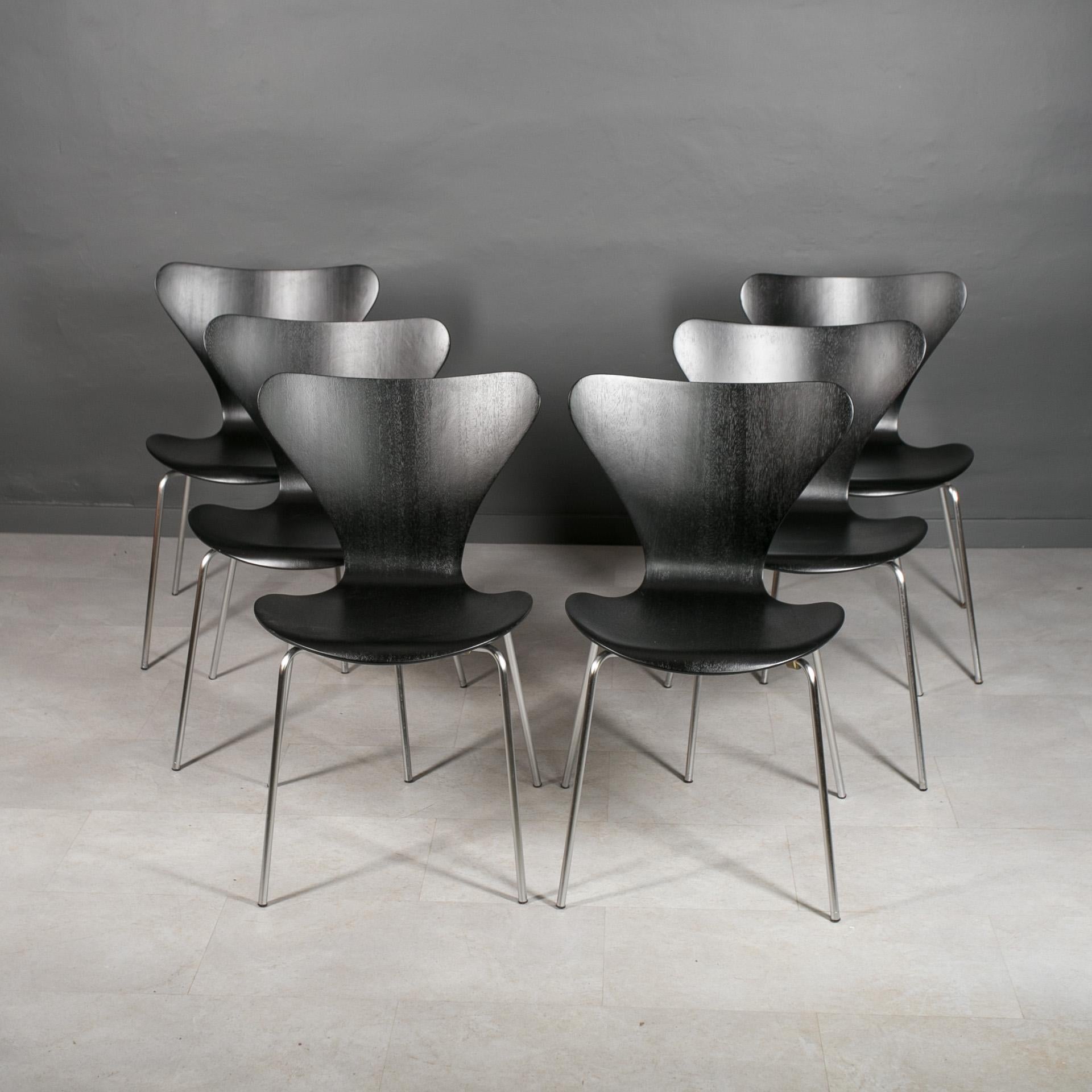 Mid-Century Modern Ensemble de 6 chaises de salle à manger en noir, Series7 par Arne Jacobsen, Fritz Hansen, années 1950 en vente
