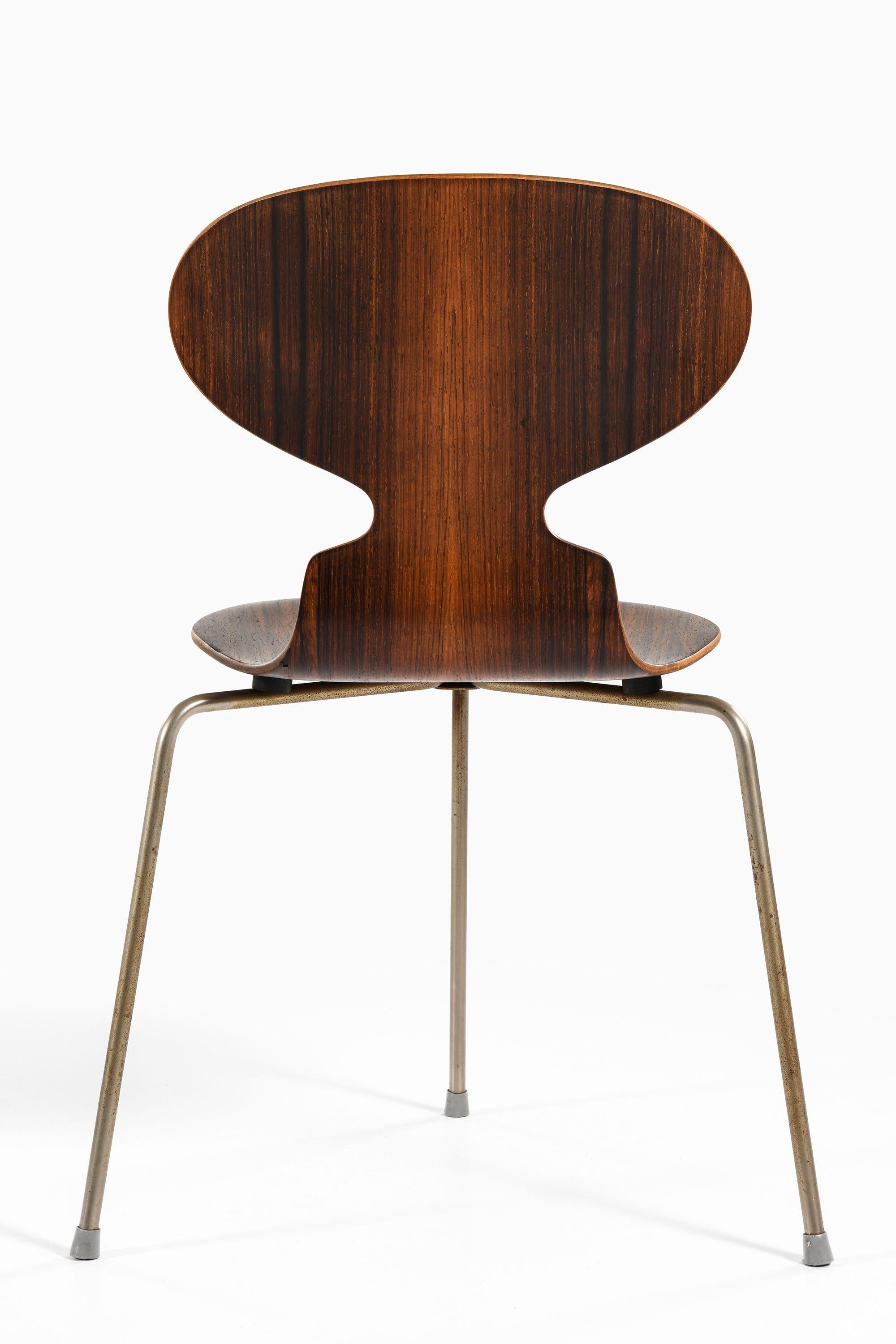 Satz von 6 Esszimmerstühlen aus Palisanderholz und Stahl von Arne Jacobsen, 1952 (Dänisch) im Angebot