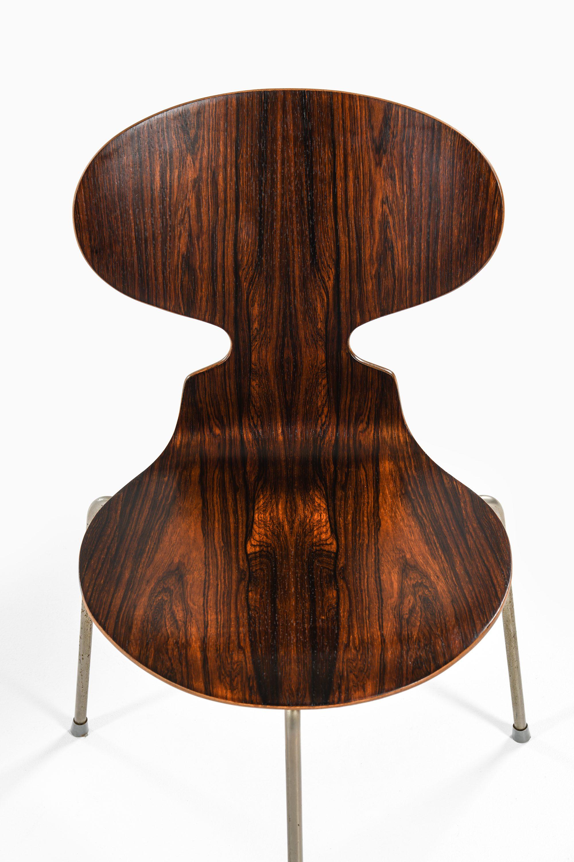Ensemble de 6 chaises de salle à manger en bois de rose et acier d'Arne Jacobsen, 1952 Bon état - En vente à Limhamn, Skåne län