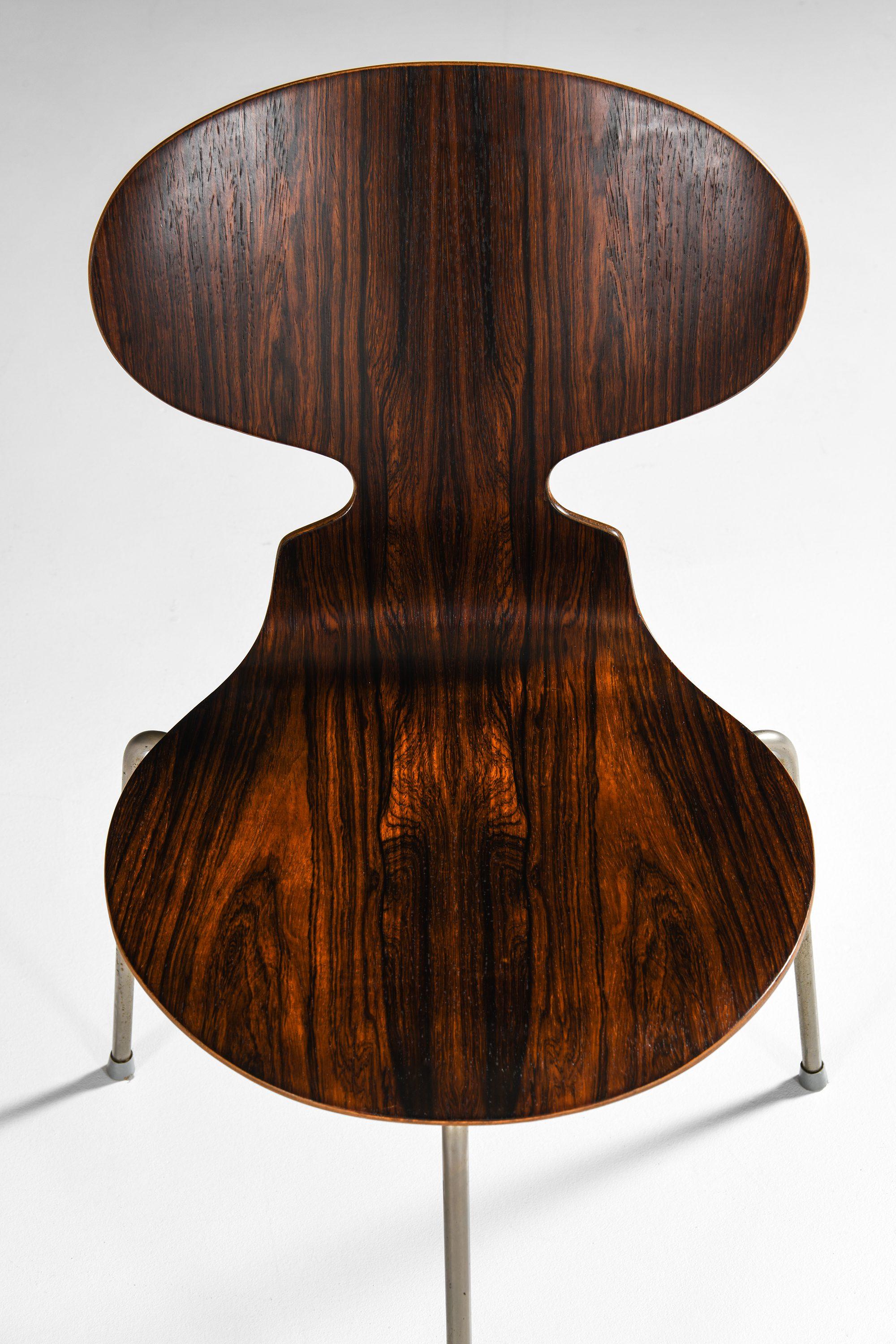 Satz von 6 Esszimmerstühlen aus Palisanderholz und Stahl von Arne Jacobsen, 1952 (20. Jahrhundert) im Angebot