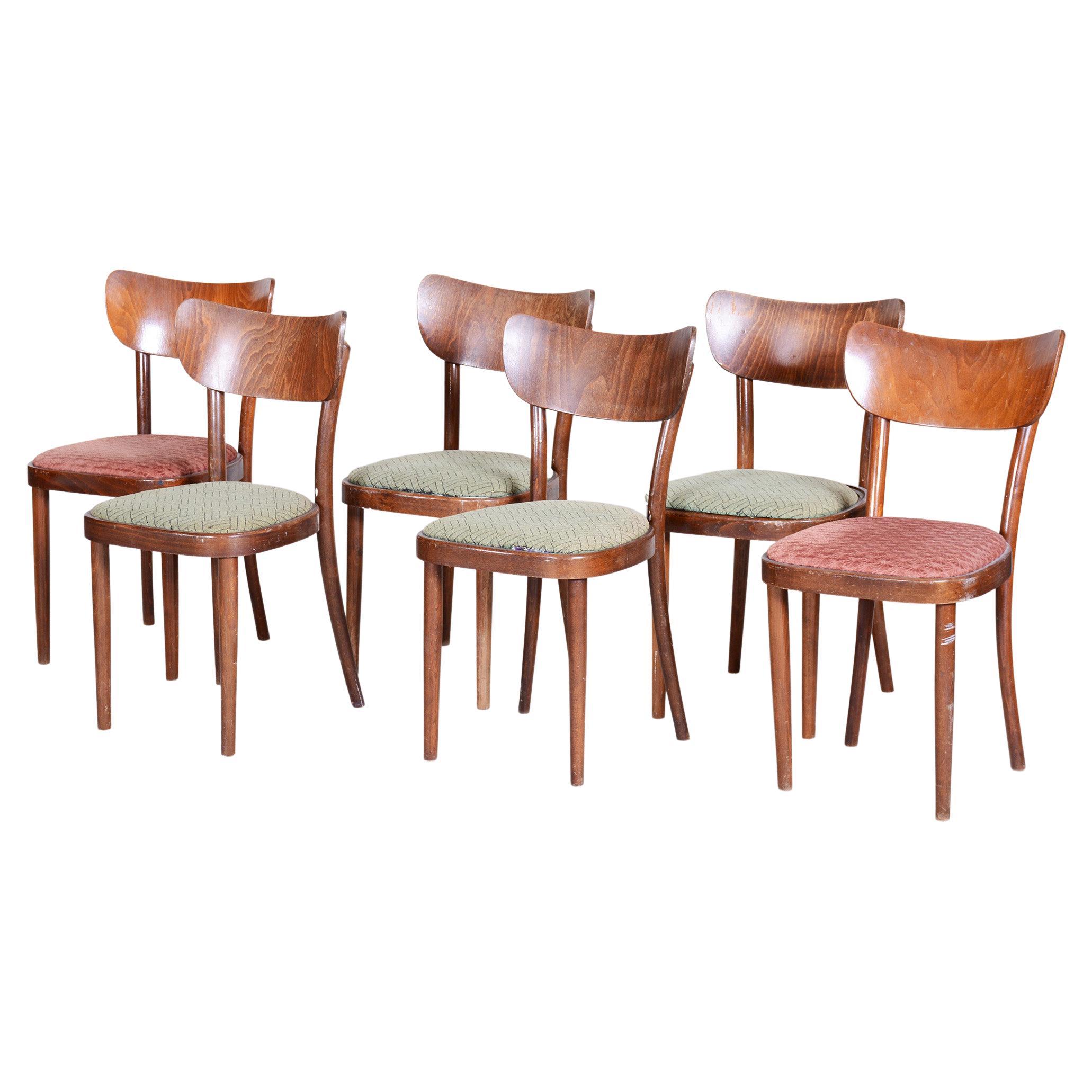 Set of 6 Dining Chairs Made by TON - 1940s, Czechia For Sale