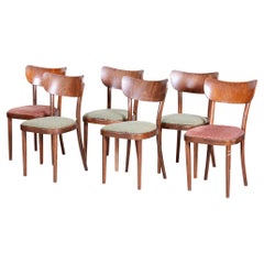 Set of 6 Dining Chairs Made by TON - 1940s, Czechia