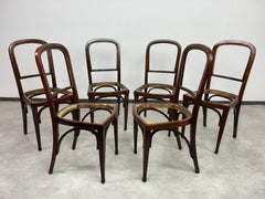 Set of 6 dining chairs no.715 by Gustav Siegel for J&J Kohn