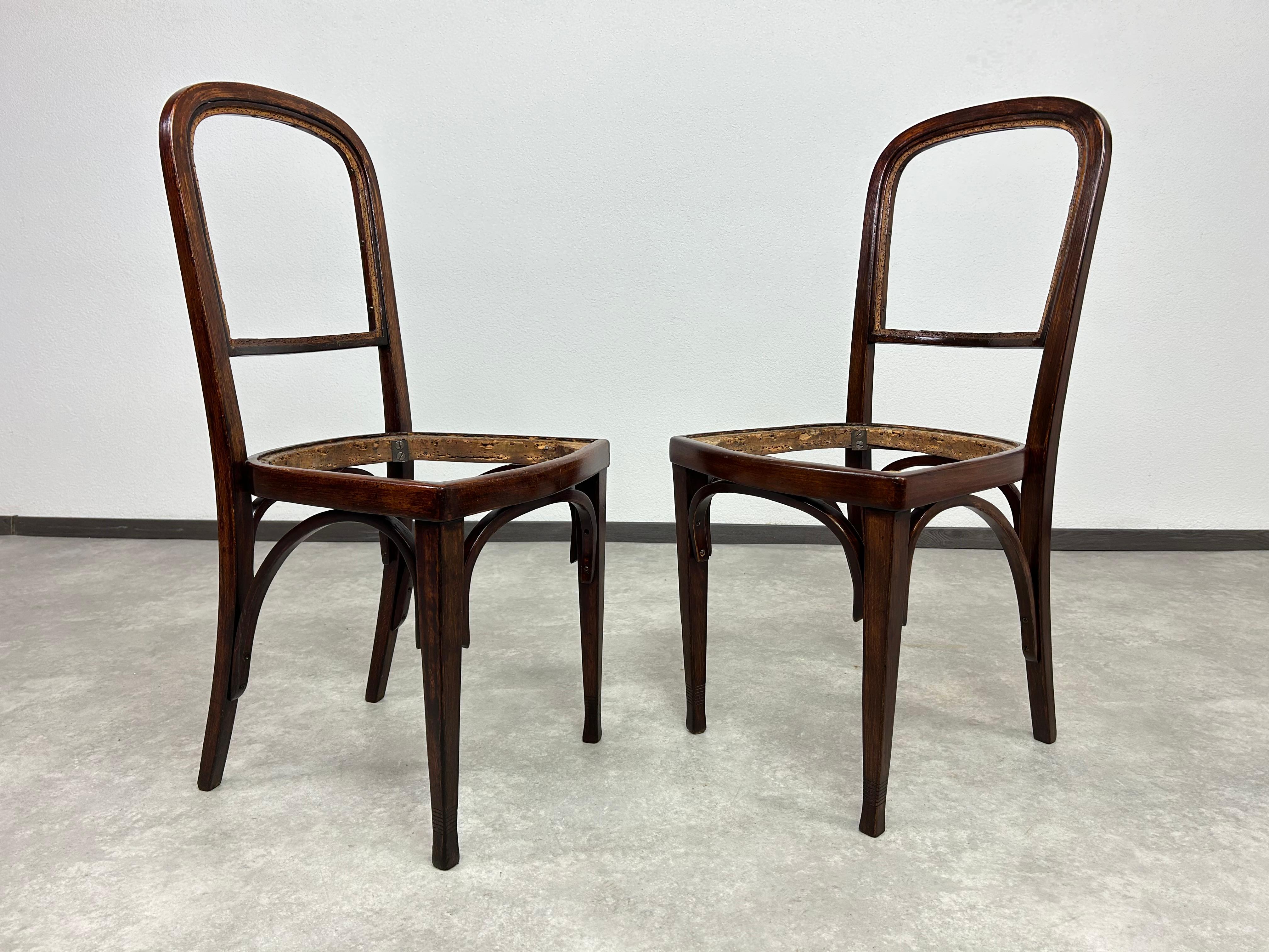 Slovacco Set of 6 dining chairs no.715 by Gustav Siegel for J&J Kohn in vendita