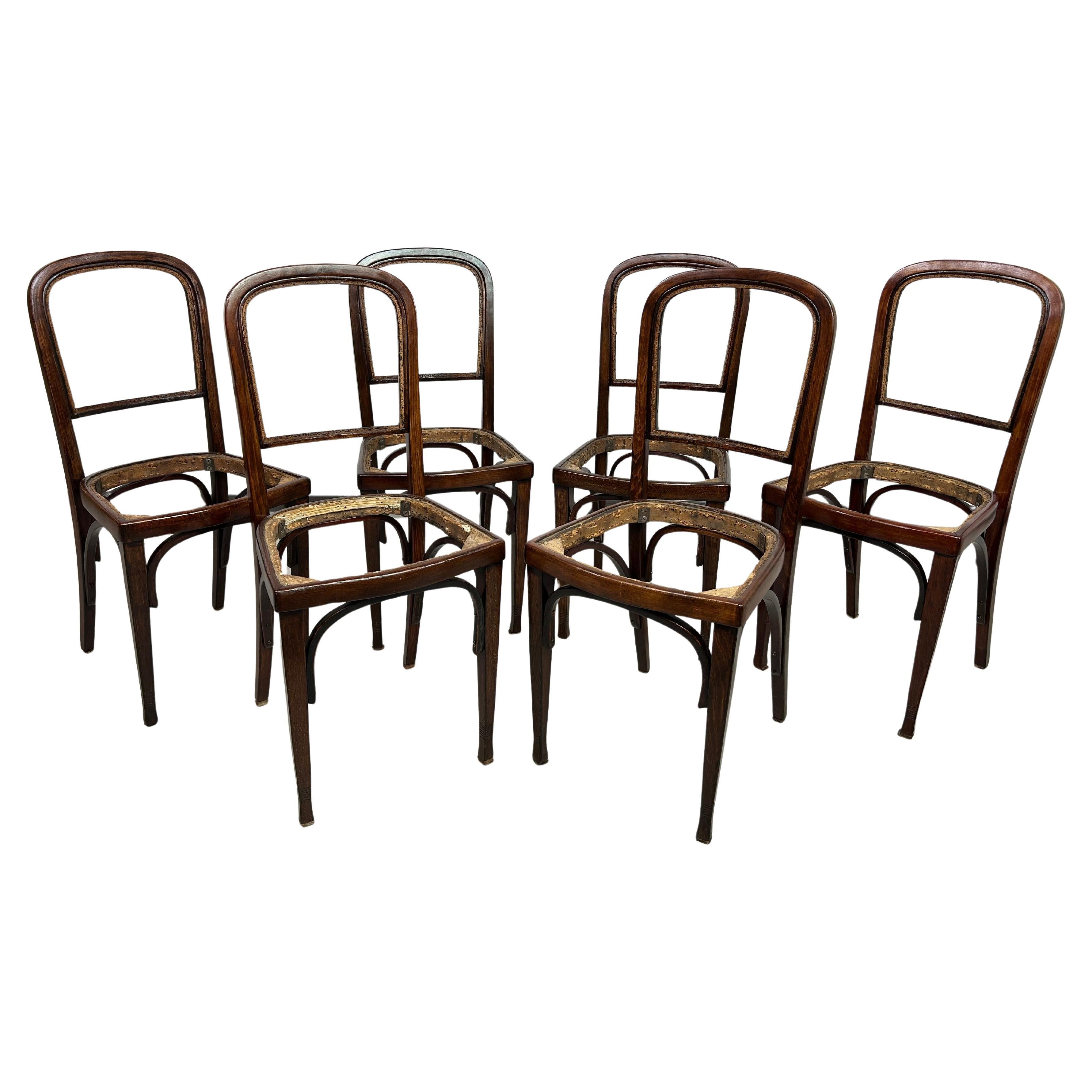 Set of 6 dining chairs no.715 by Gustav Siegel for J&J Kohn