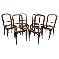 Set of 6 dining chairs no.715 by Gustav Siegel for J&J Kohn