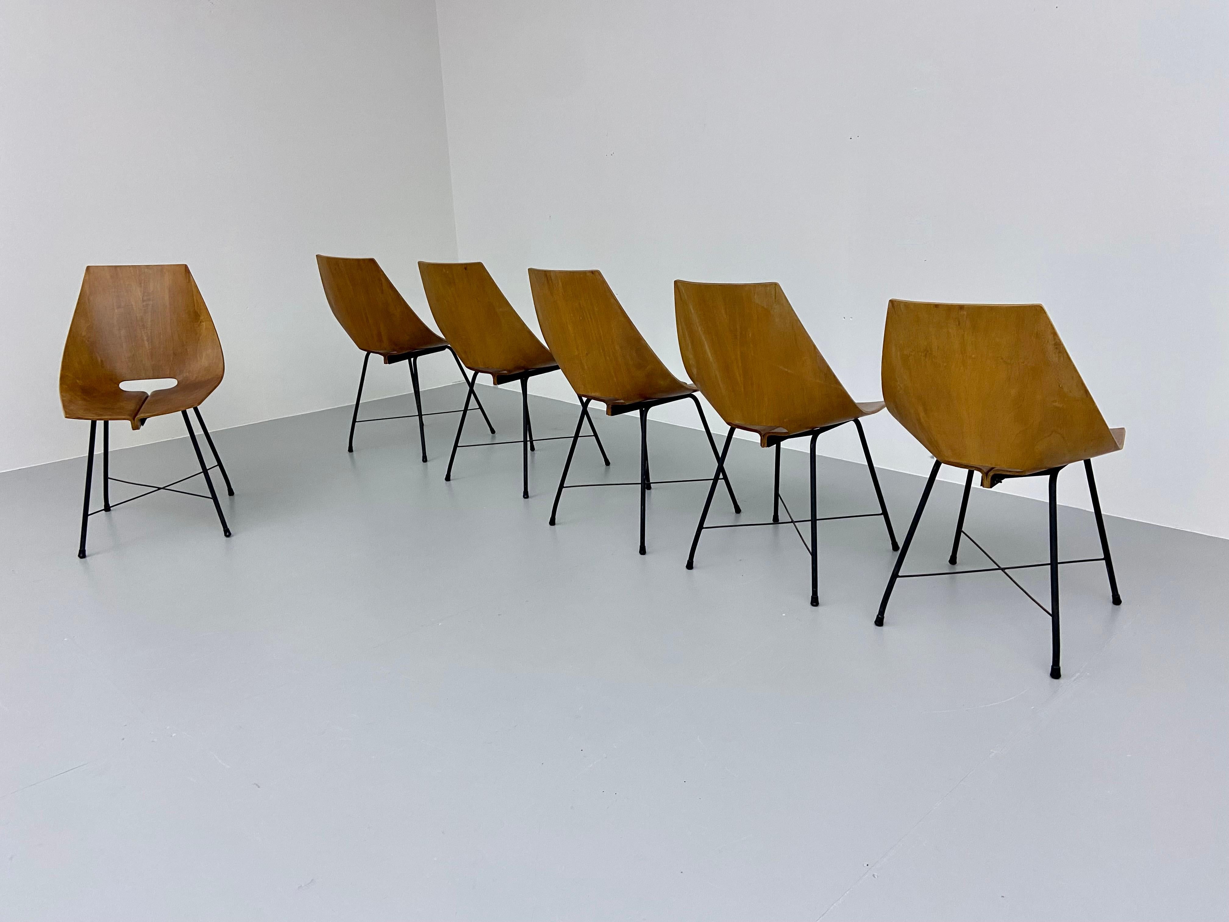 Set of 6 Dining Room Chairs by Carlo Ratti in Bended Wood and Metal, Italy, 1954 4