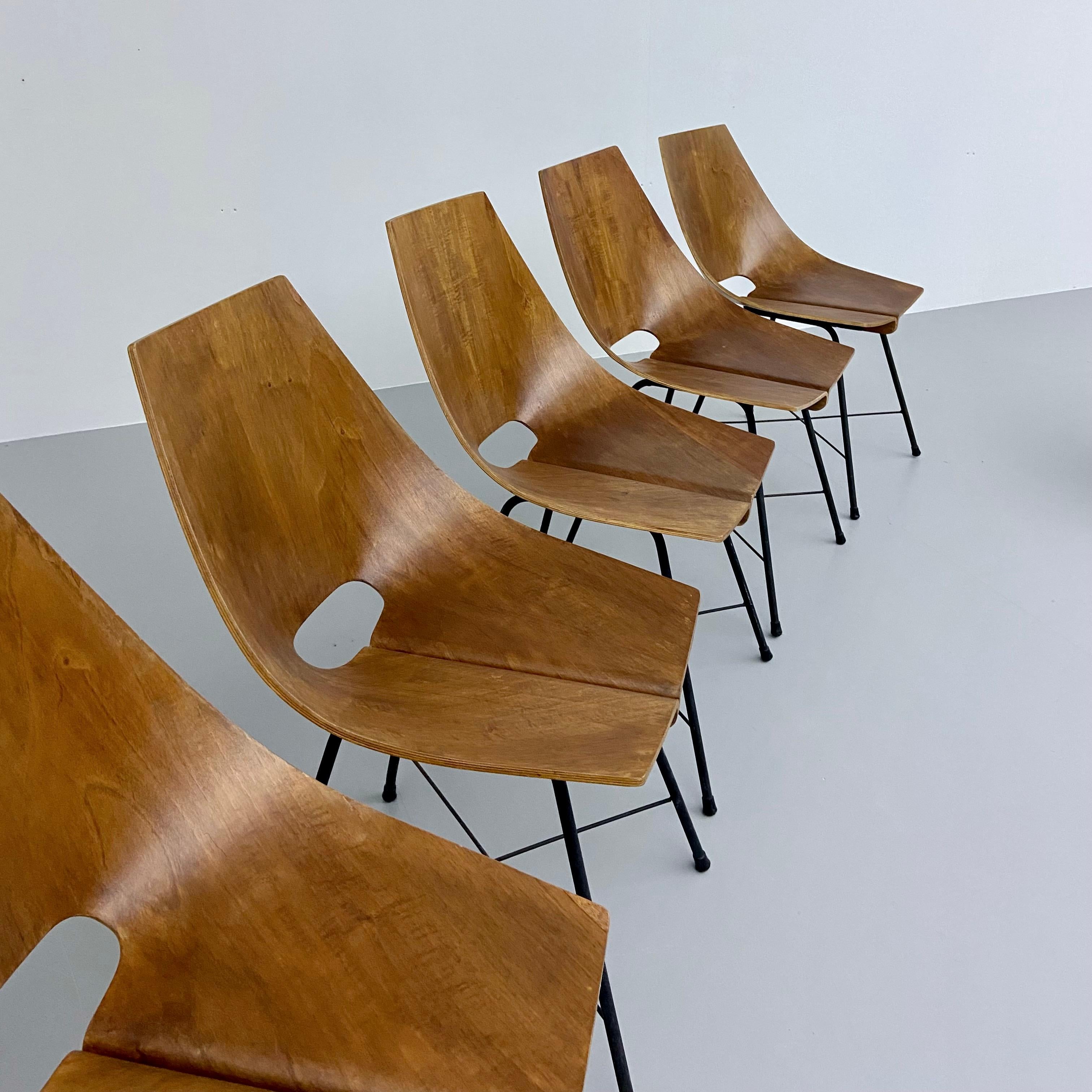 Set of 6 Dining Room Chairs by Carlo Ratti in Bended Wood and Metal, Italy, 1954 For Sale 2