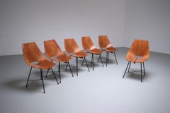 Set of 6 Dining Room Chairs by Carlo Ratti in Plywood and Metal, Italy, 1954