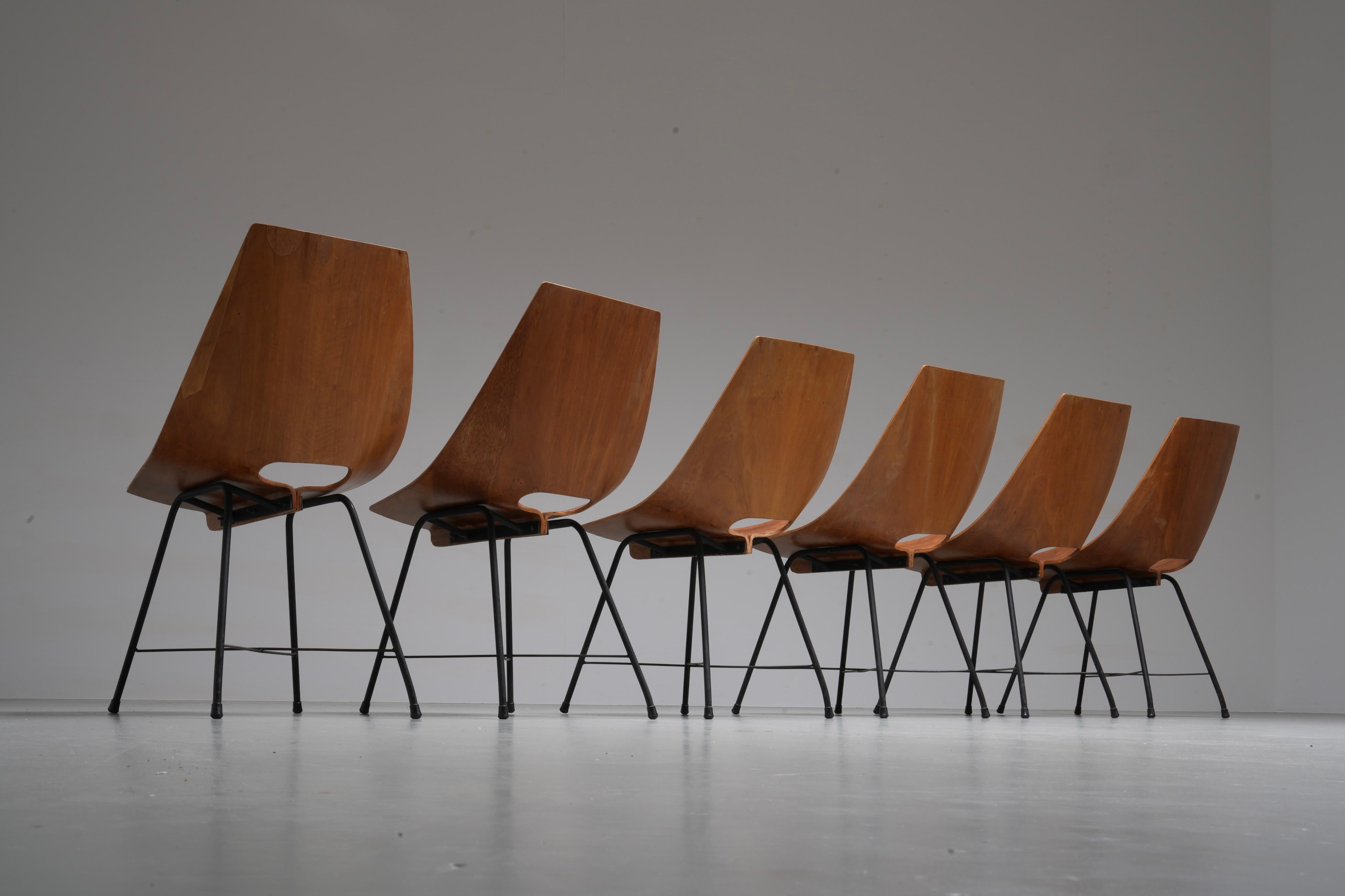 Set of 6 Dining Room Chairs by Carlo Ratti in Plywood and Metal, Italy, 1954 For Sale 1