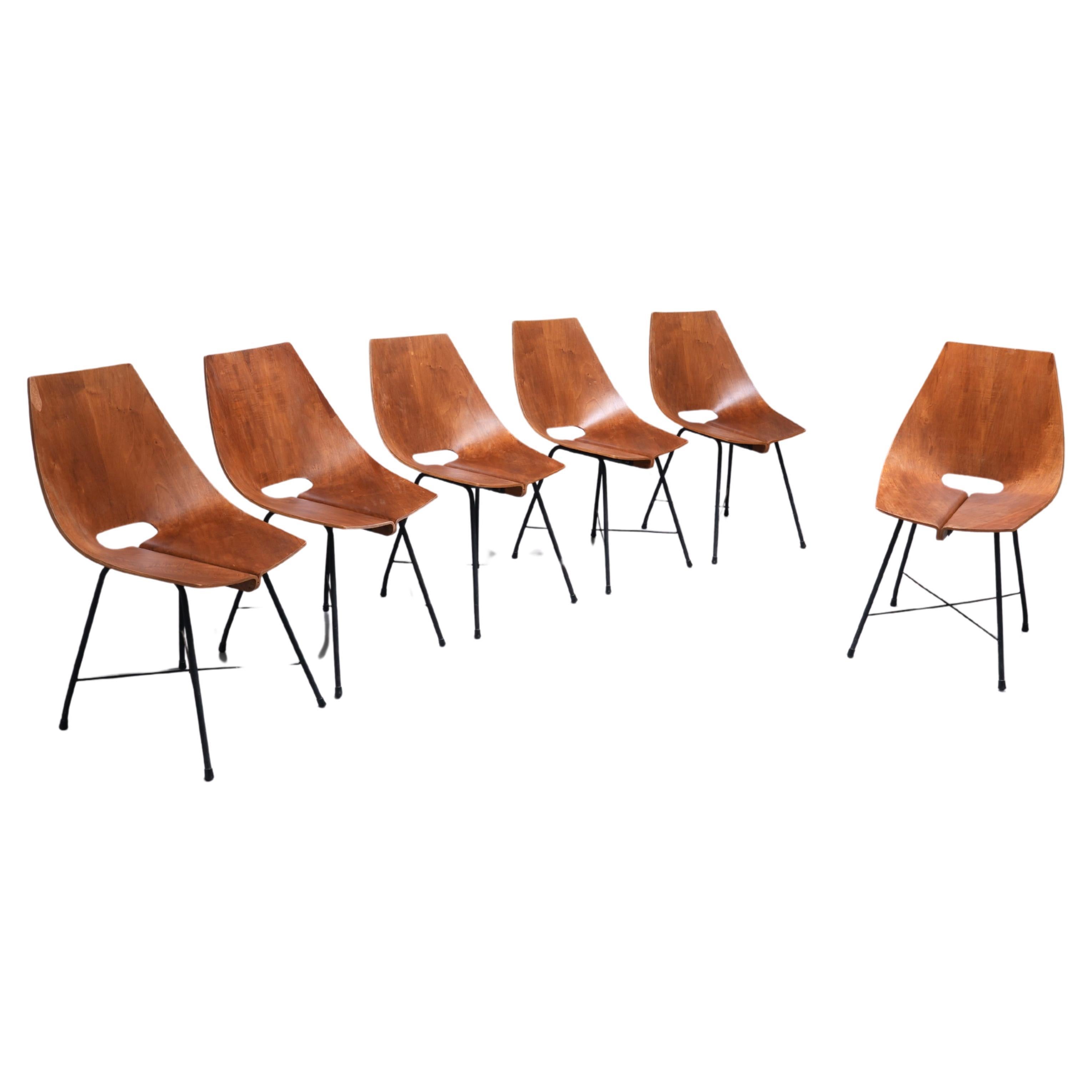 Set of 6 Dining Room Chairs by Carlo Ratti in Plywood and Metal, Italy, 1954