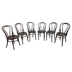 Set of 6 dining room chairs no.18 by Thonet