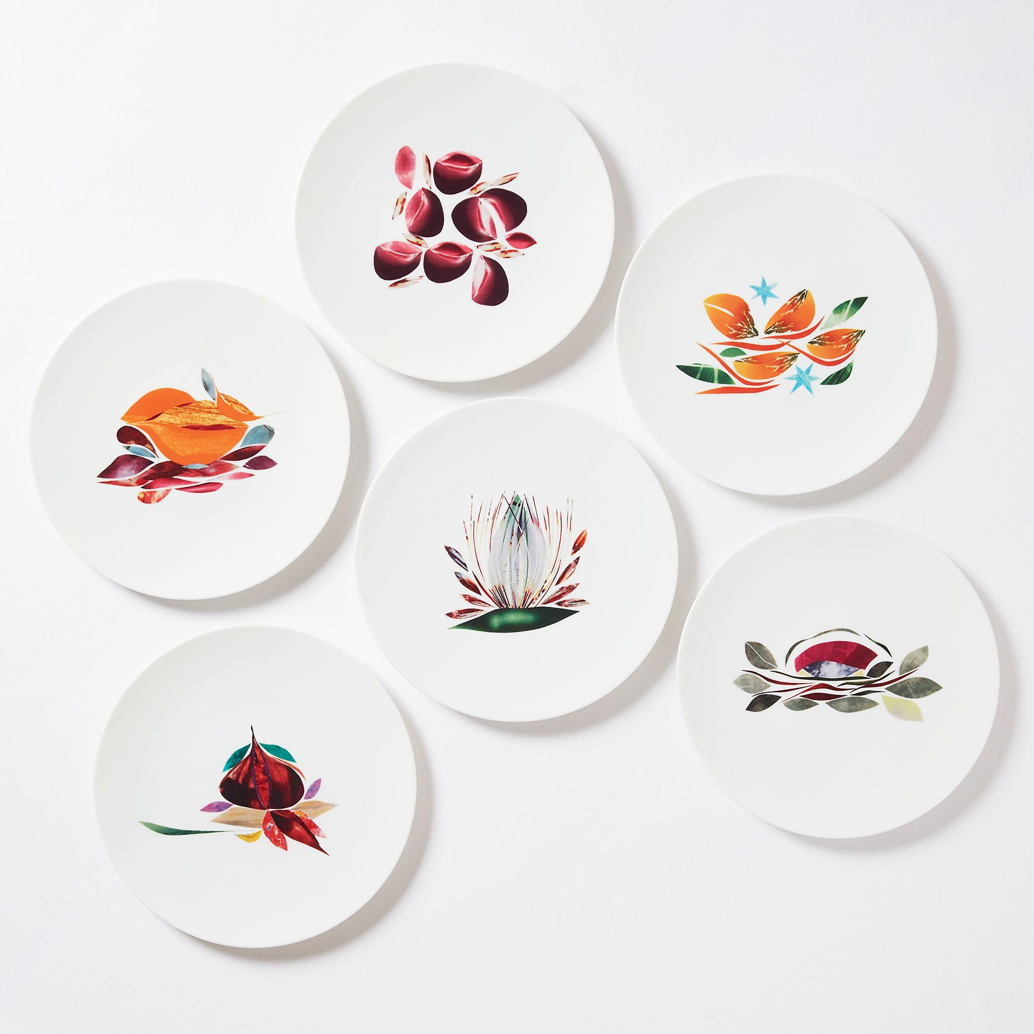 Box of 6 Dinner Porcelain Plates by the French Chef Alain Passard For Sale 5