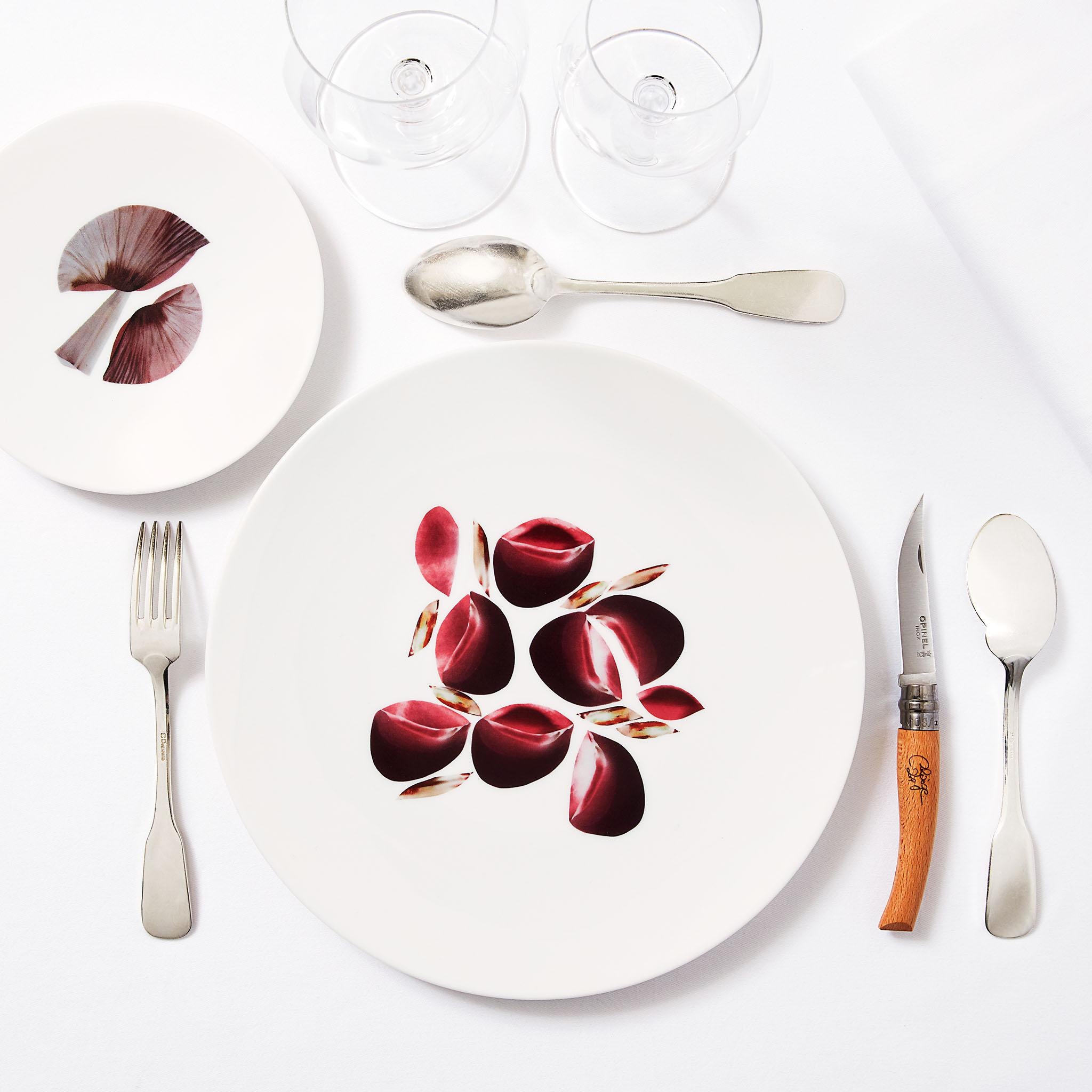 Box of 6 Dinner Porcelain Plates by the French Chef Alain Passard For Sale 8