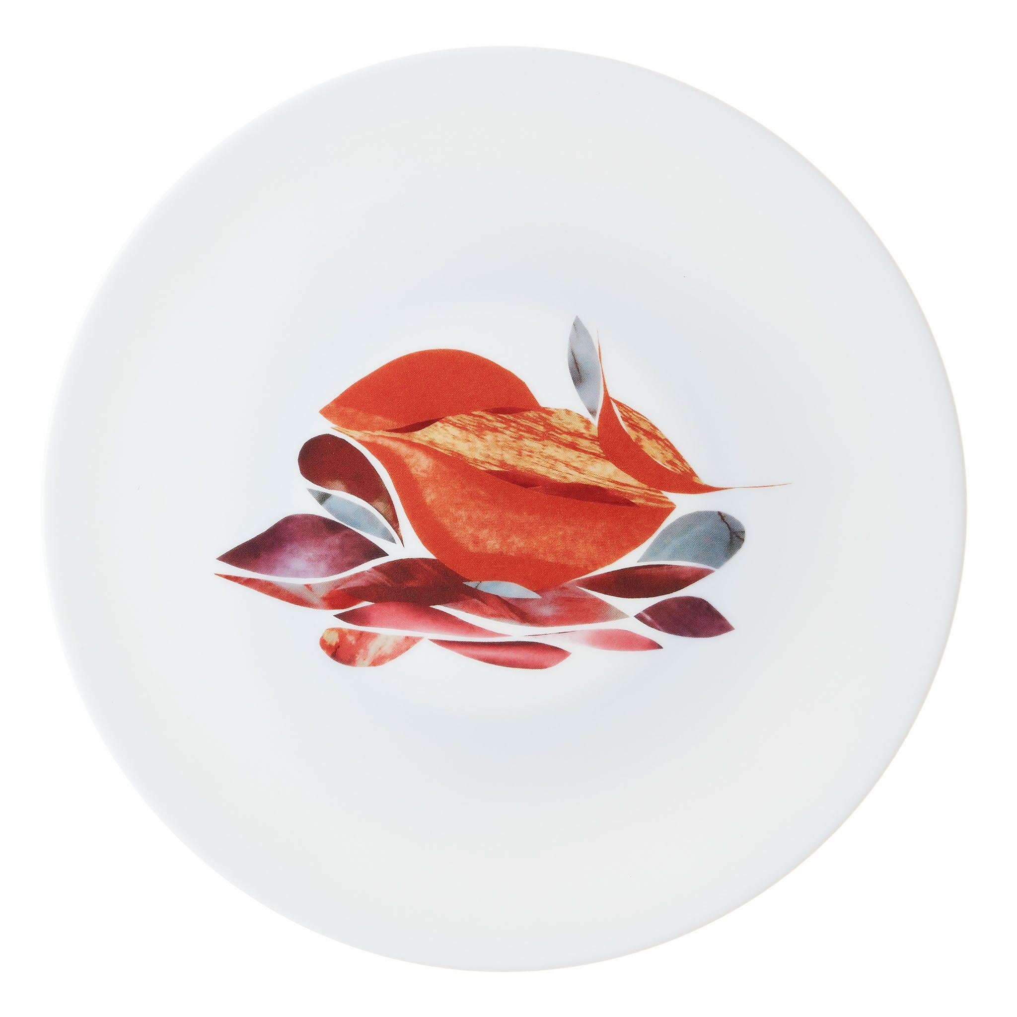 Contemporary Box of 6 Dinner Porcelain Plates by the French Chef Alain Passard For Sale