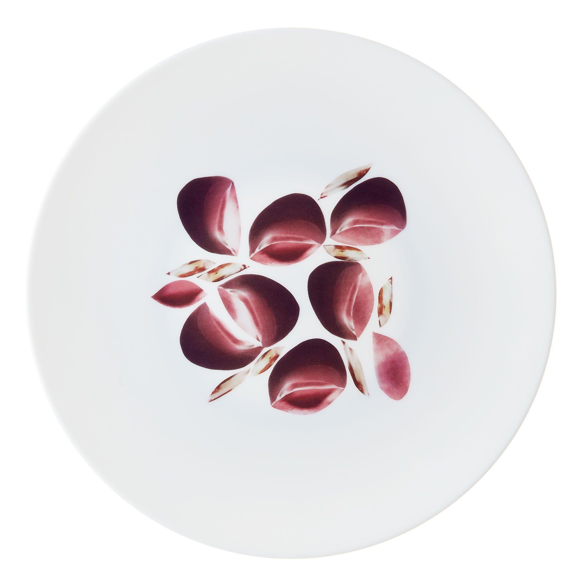 Box of 6 Dinner Porcelain Plates by the French Chef Alain Passard For Sale 1