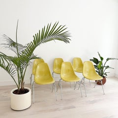 Ensemble de 6 chaises empilables Eames pour Herman Miller en forme de coquillage jaune