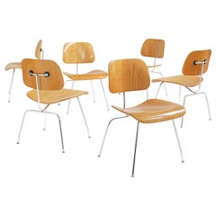 Set of 6 Eames Molded Plywood 'DCM' Chairs in Ash for Herman Miller