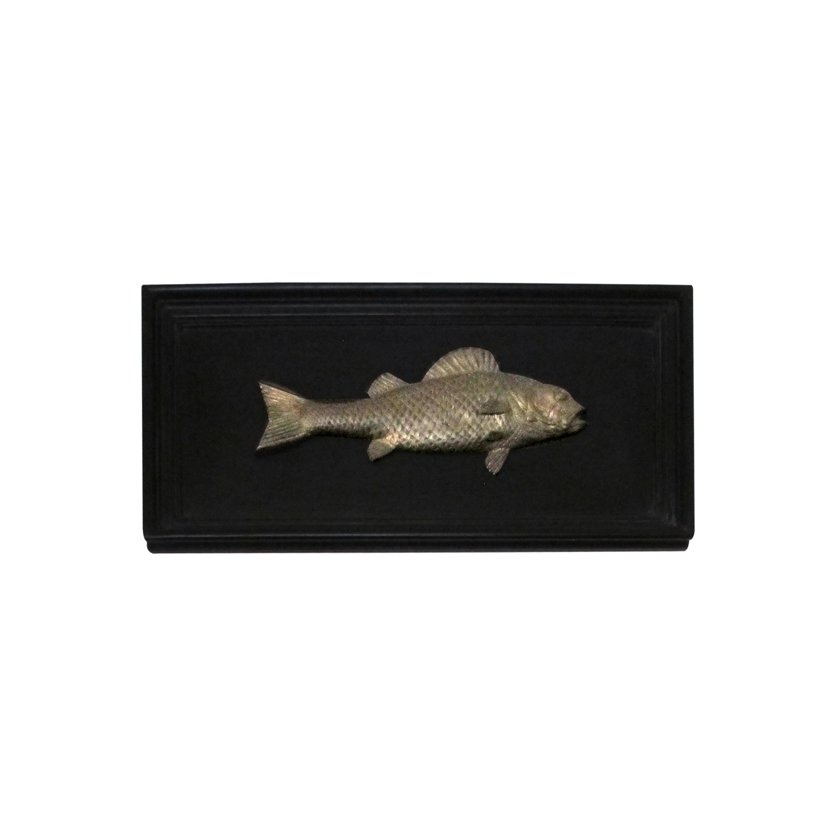 Set of 6 Early 20th Century Bronze Freshwater Fish Mounted on a Black Frame 4
