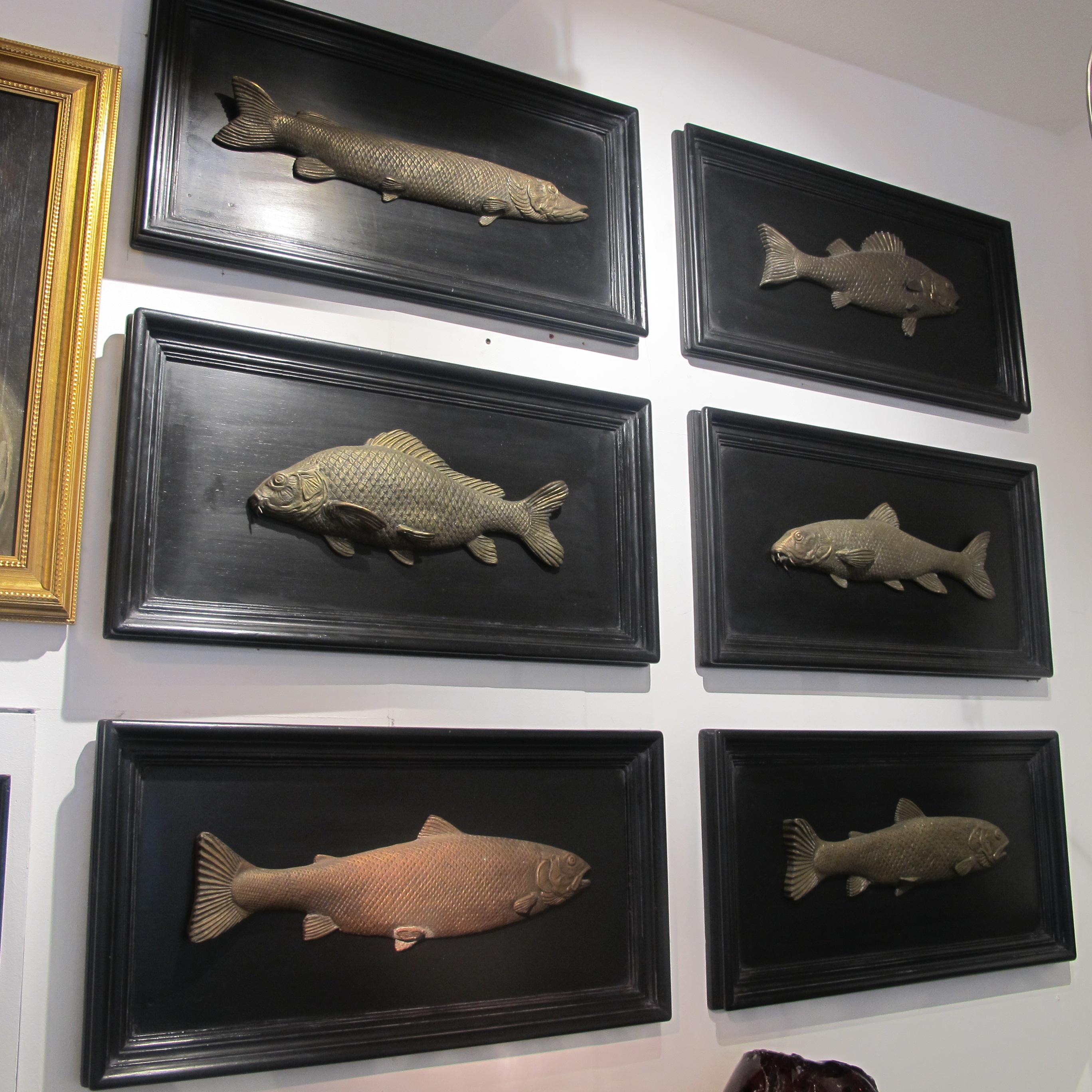 Set of 6 Early 20th Century Bronze Freshwater Fish Mounted on a Black Frame 5