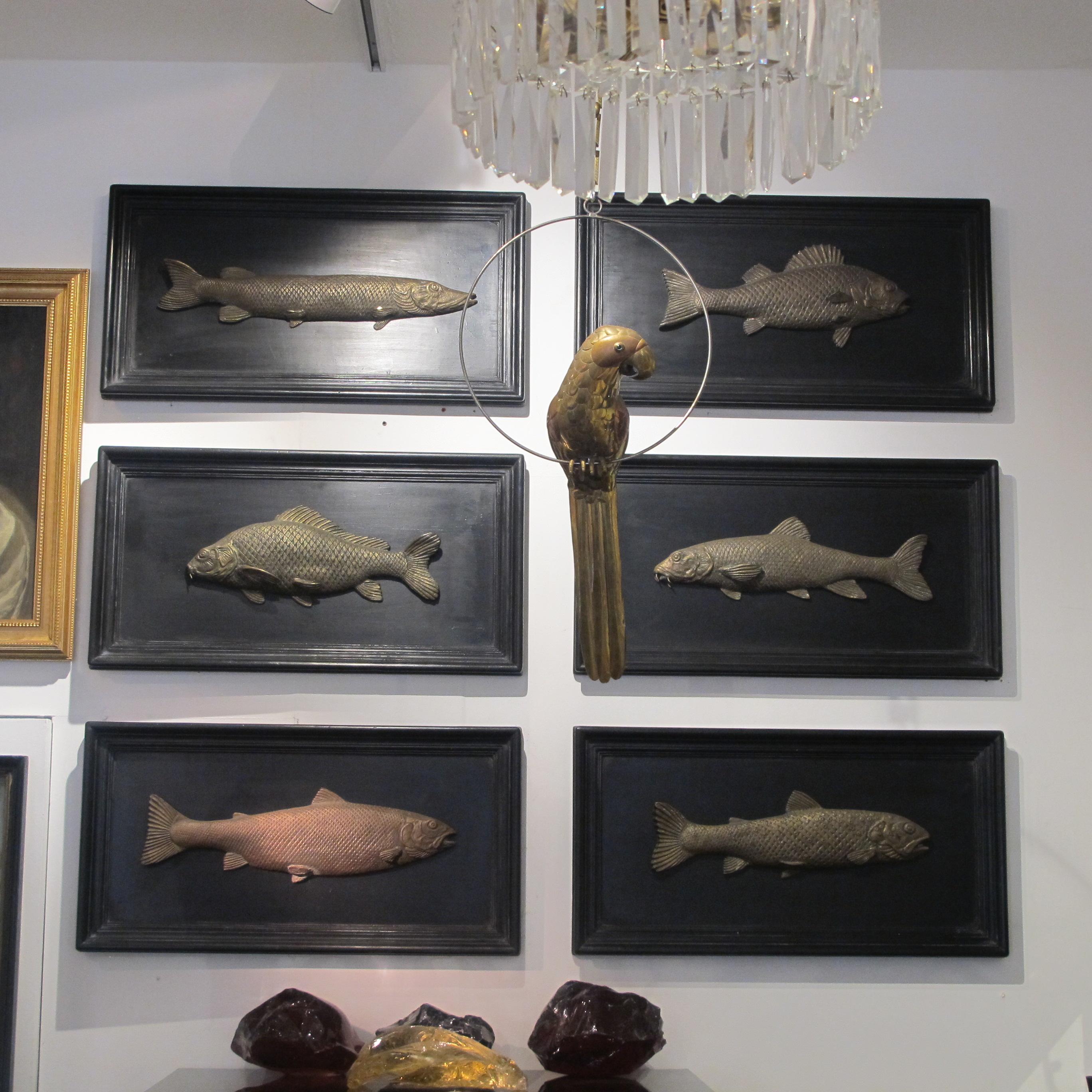 Set of 6 Early 20th Century Bronze Freshwater Fish Mounted on a Black Frame 6