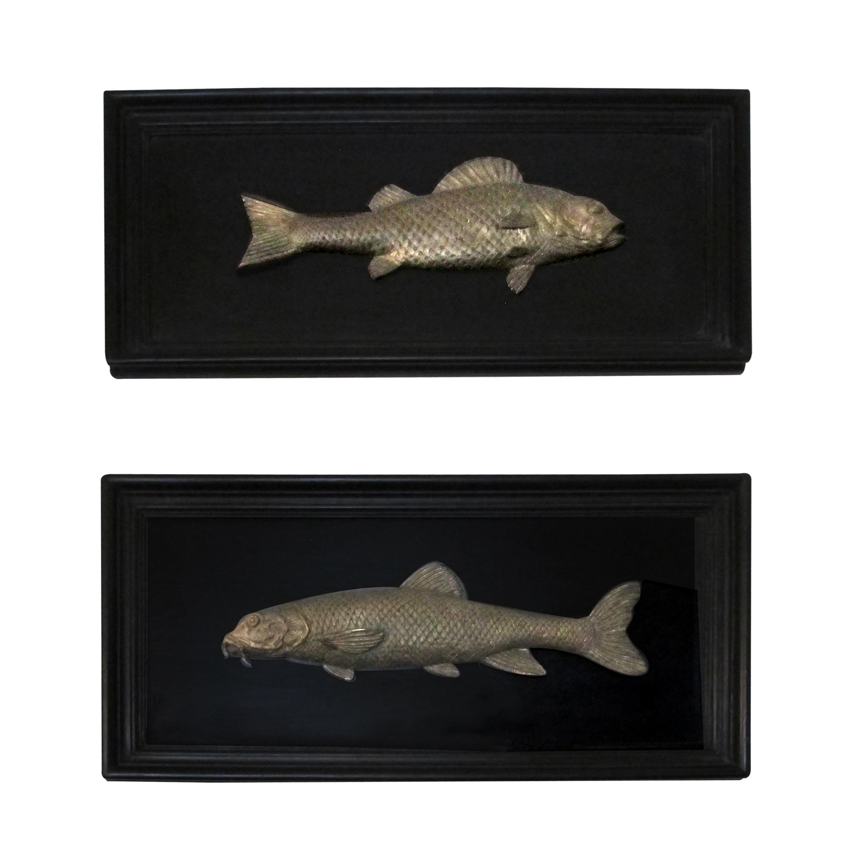 Art Nouveau Set of 6 Early 20th Century Bronze Freshwater Fish Mounted on a Black Frame
