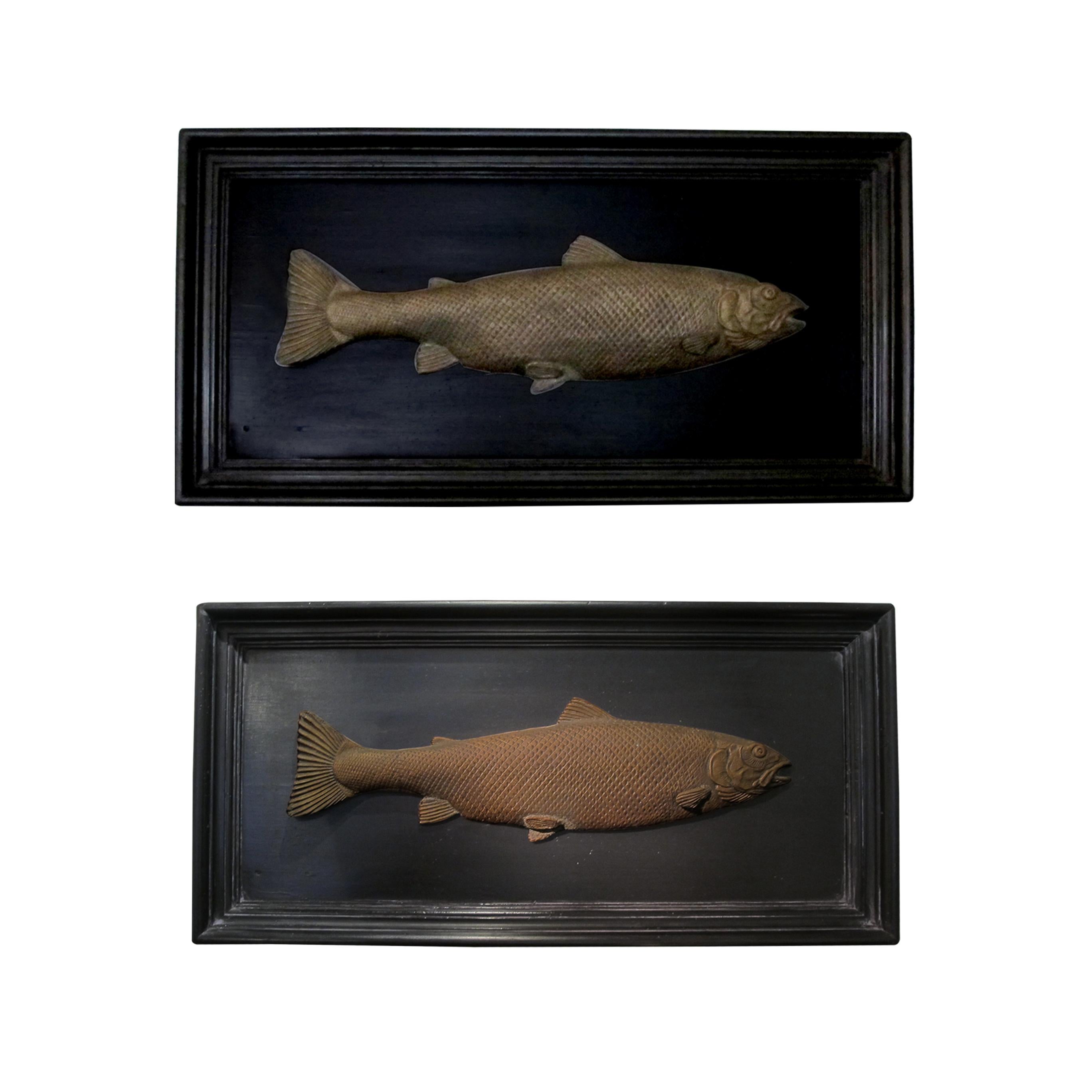 English Set of 6 Early 20th Century Bronze Freshwater Fish Mounted on a Black Frame