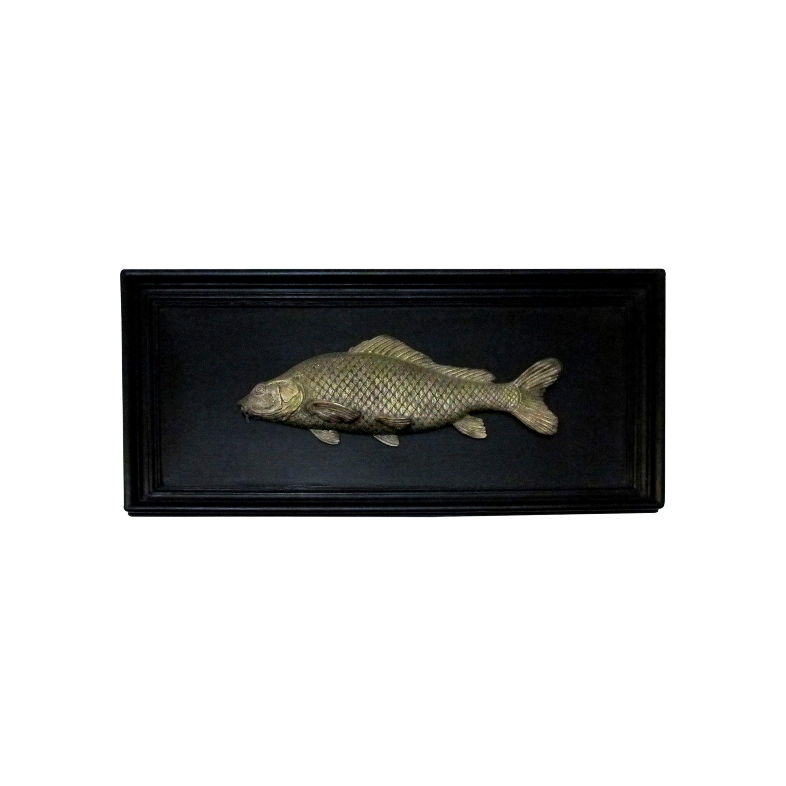 Set of 6 Early 20th Century Bronze Freshwater Fish Mounted on a Black Frame In Good Condition In London, GB