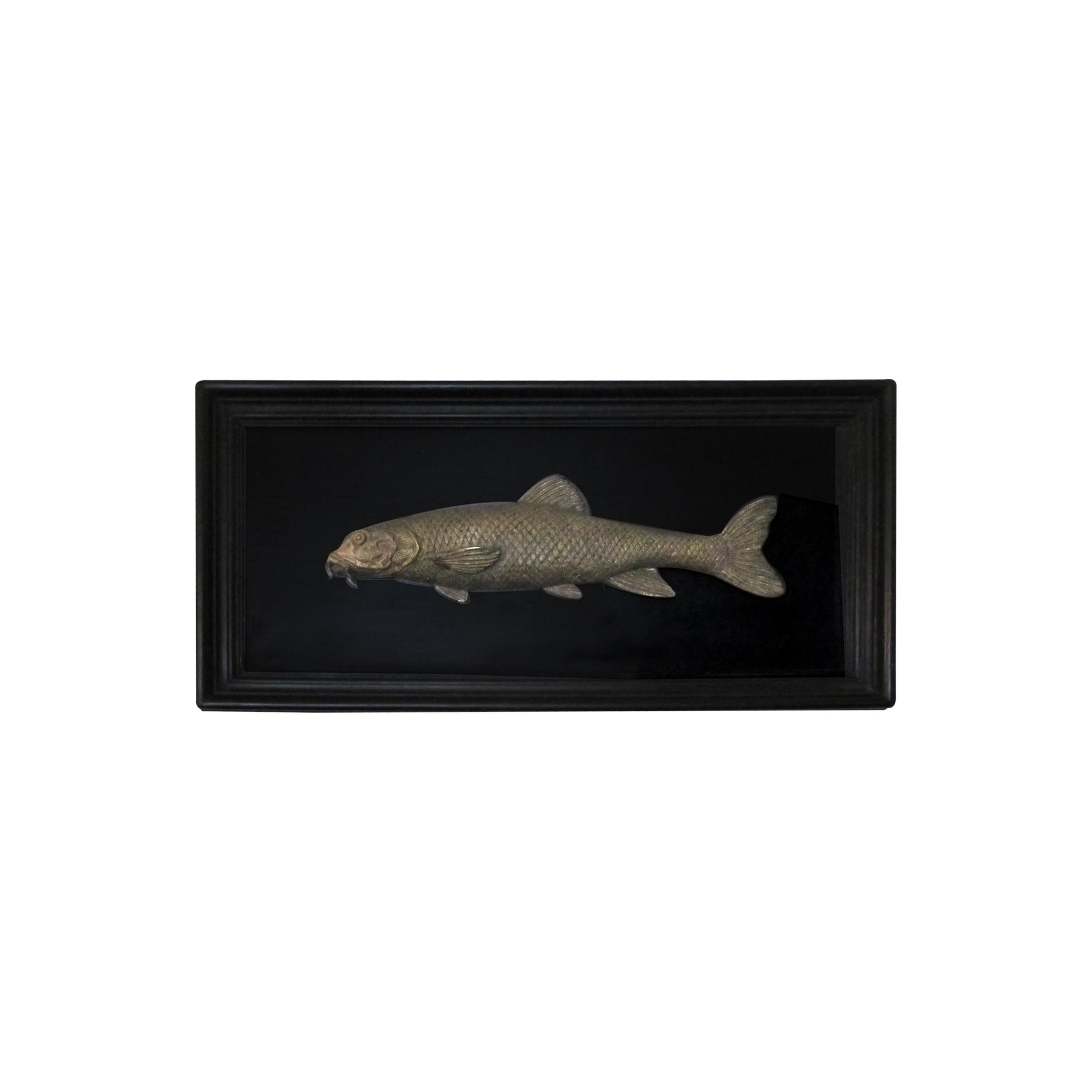 Set of 6 Early 20th Century Bronze Freshwater Fish Mounted on a Black Frame 1