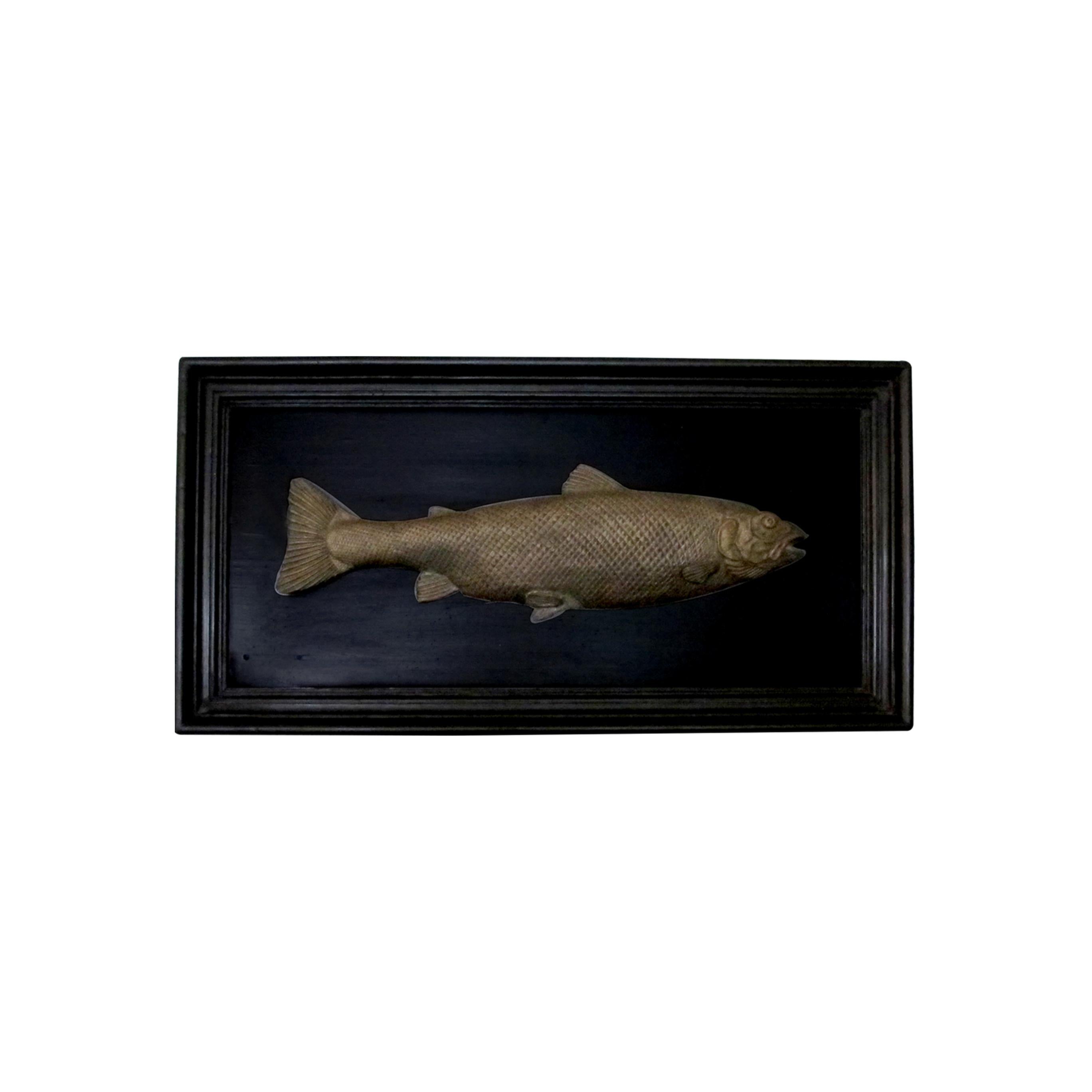 Set of 6 Early 20th Century Bronze Freshwater Fish Mounted on a Black Frame 3